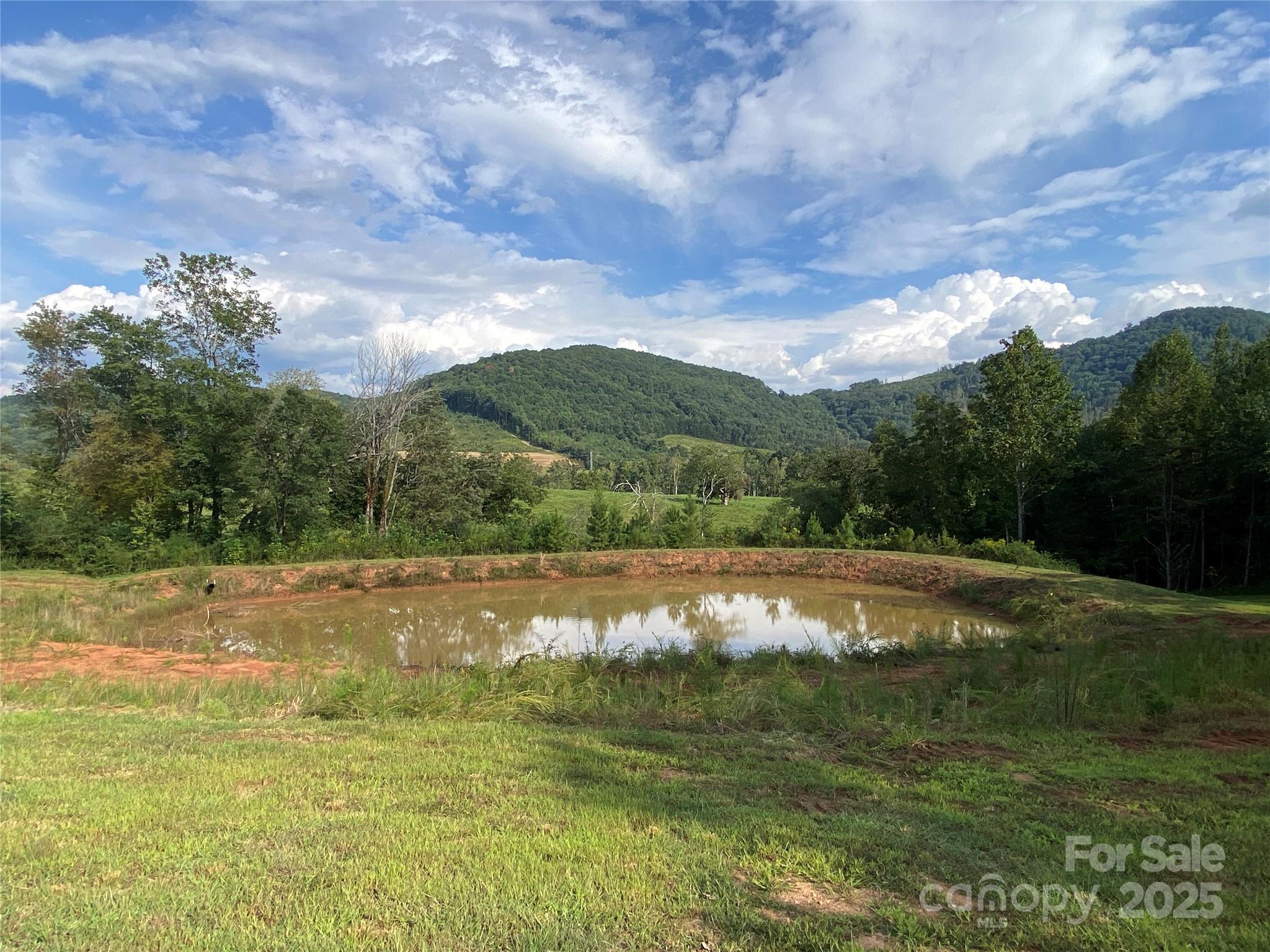 1180 Calton Road Property Photo 6