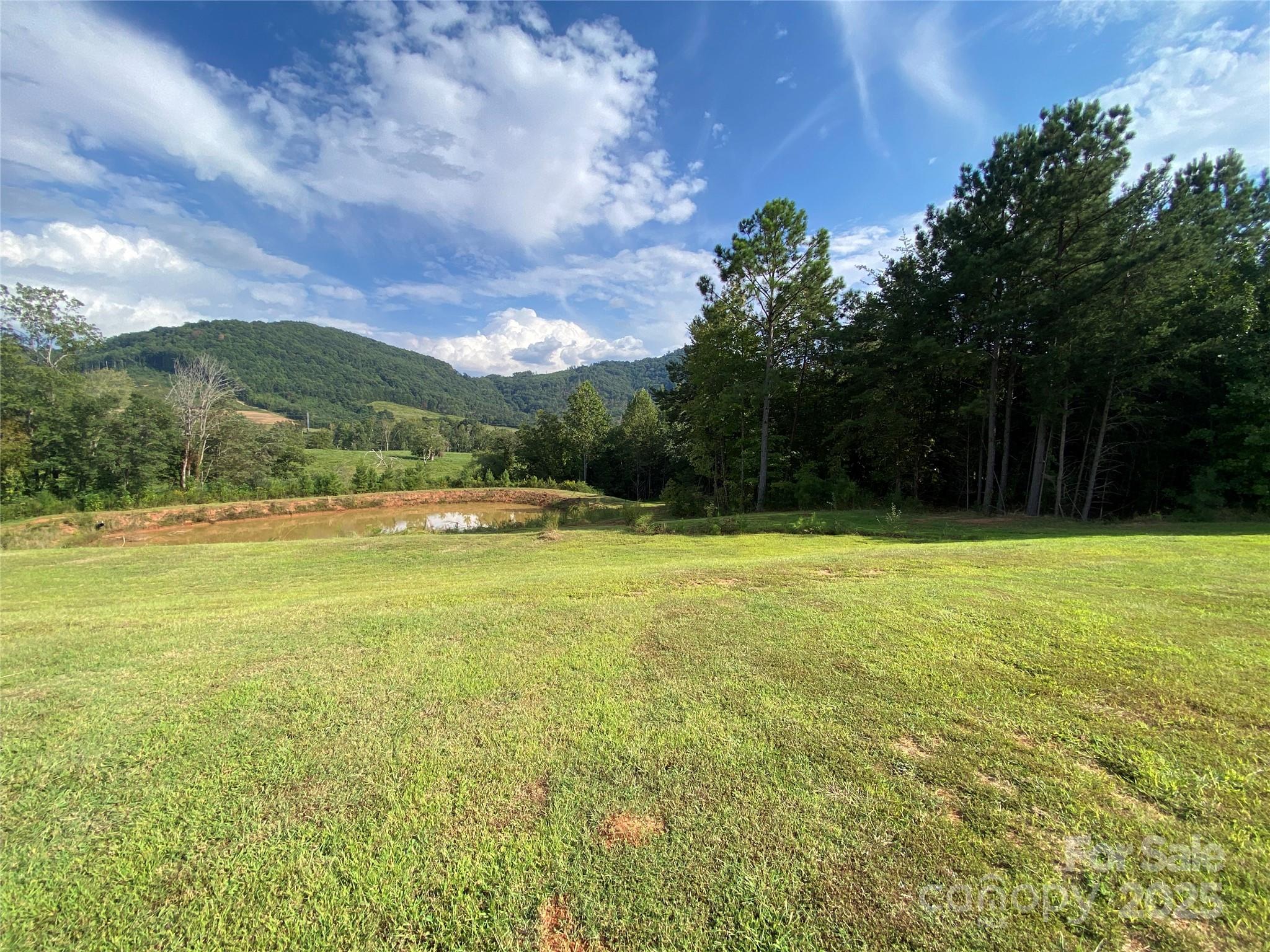 1180 Calton Road Property Photo 7