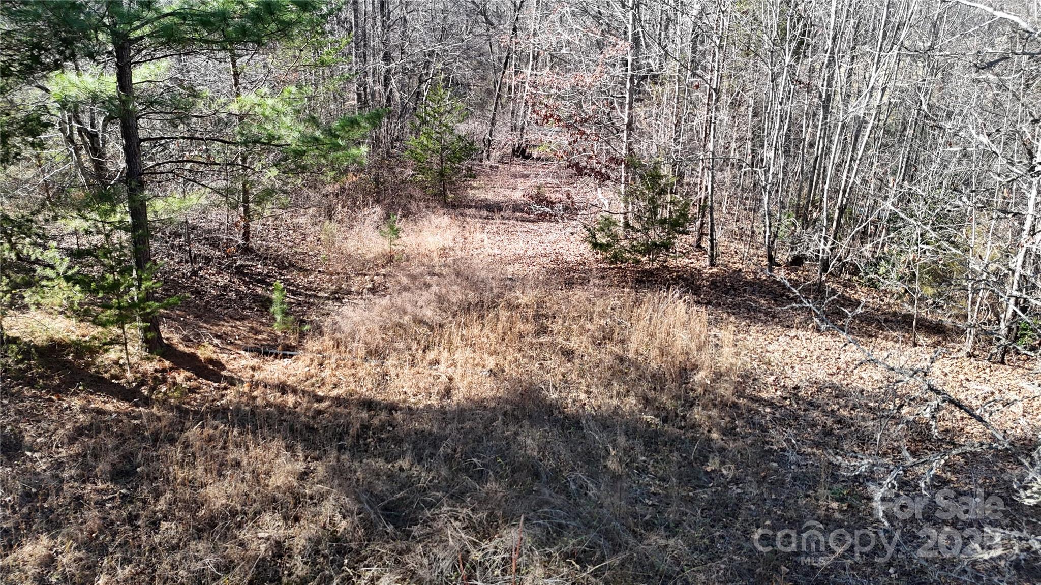 126 Campbell Road Property Photo 8