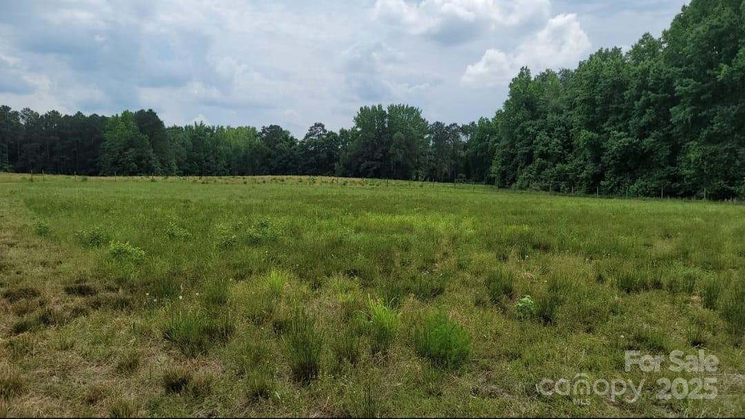 434 Macedonia Angelus Road Property Photo 5