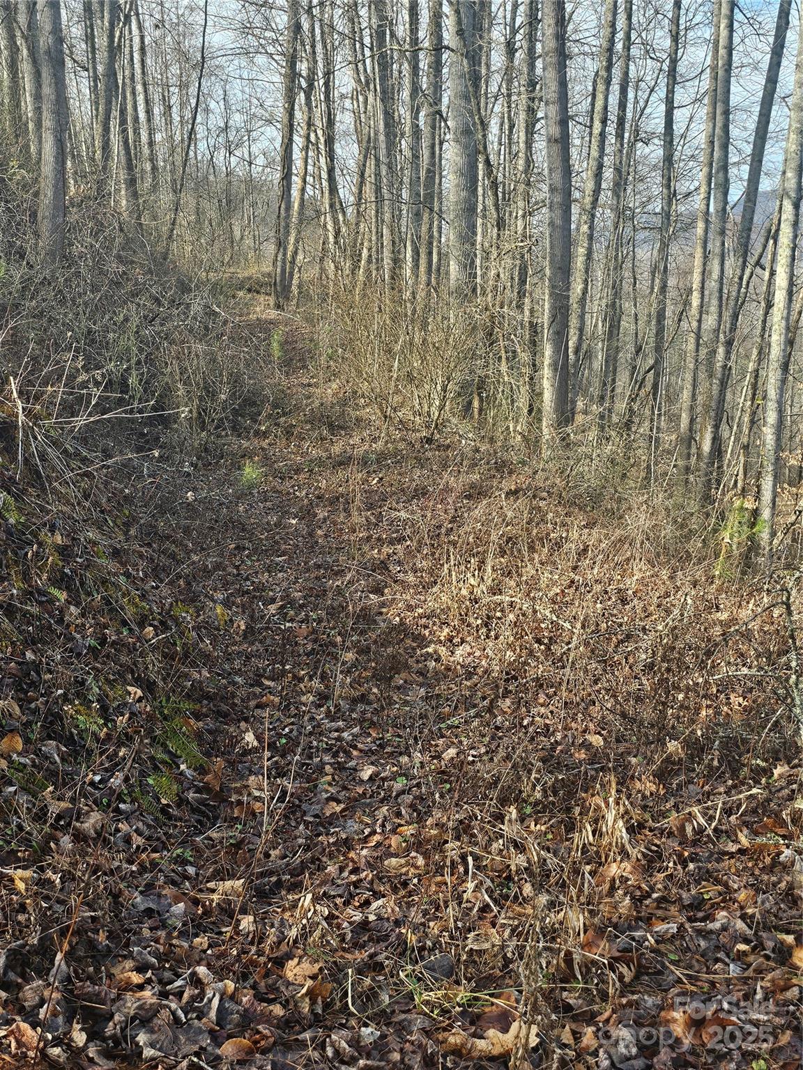 Lt1 Varsity Drive Property Photo 4