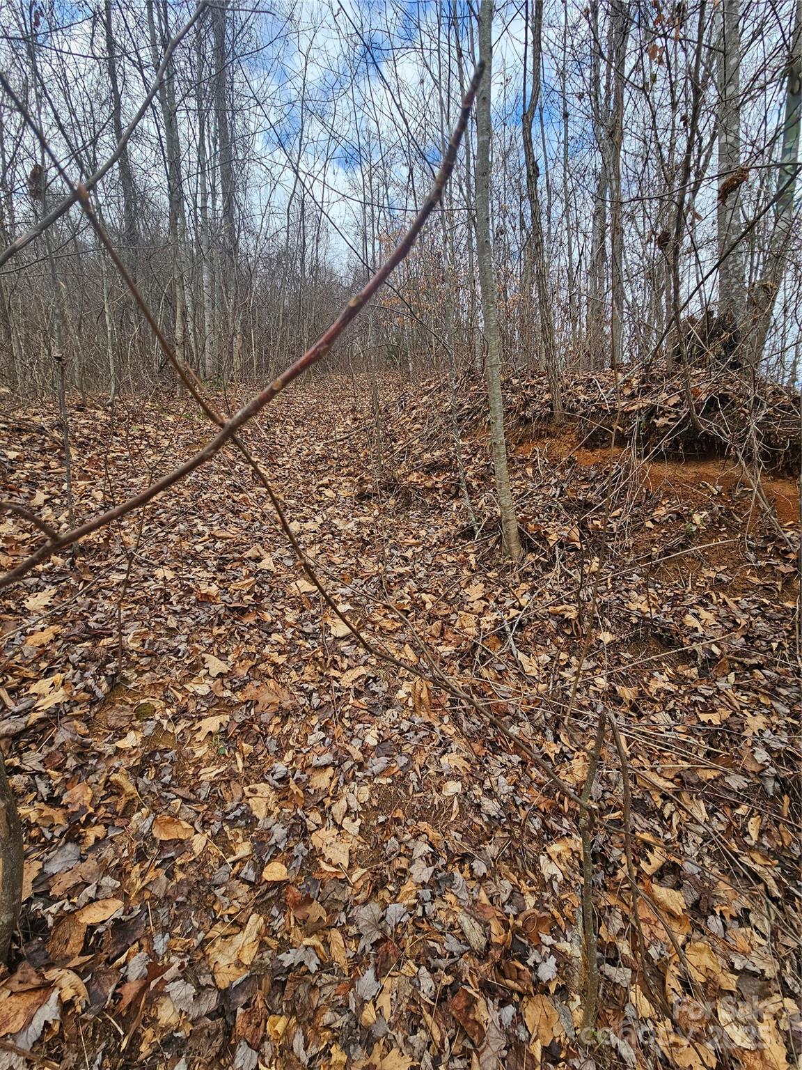 Lt1 Varsity Drive Property Photo 12