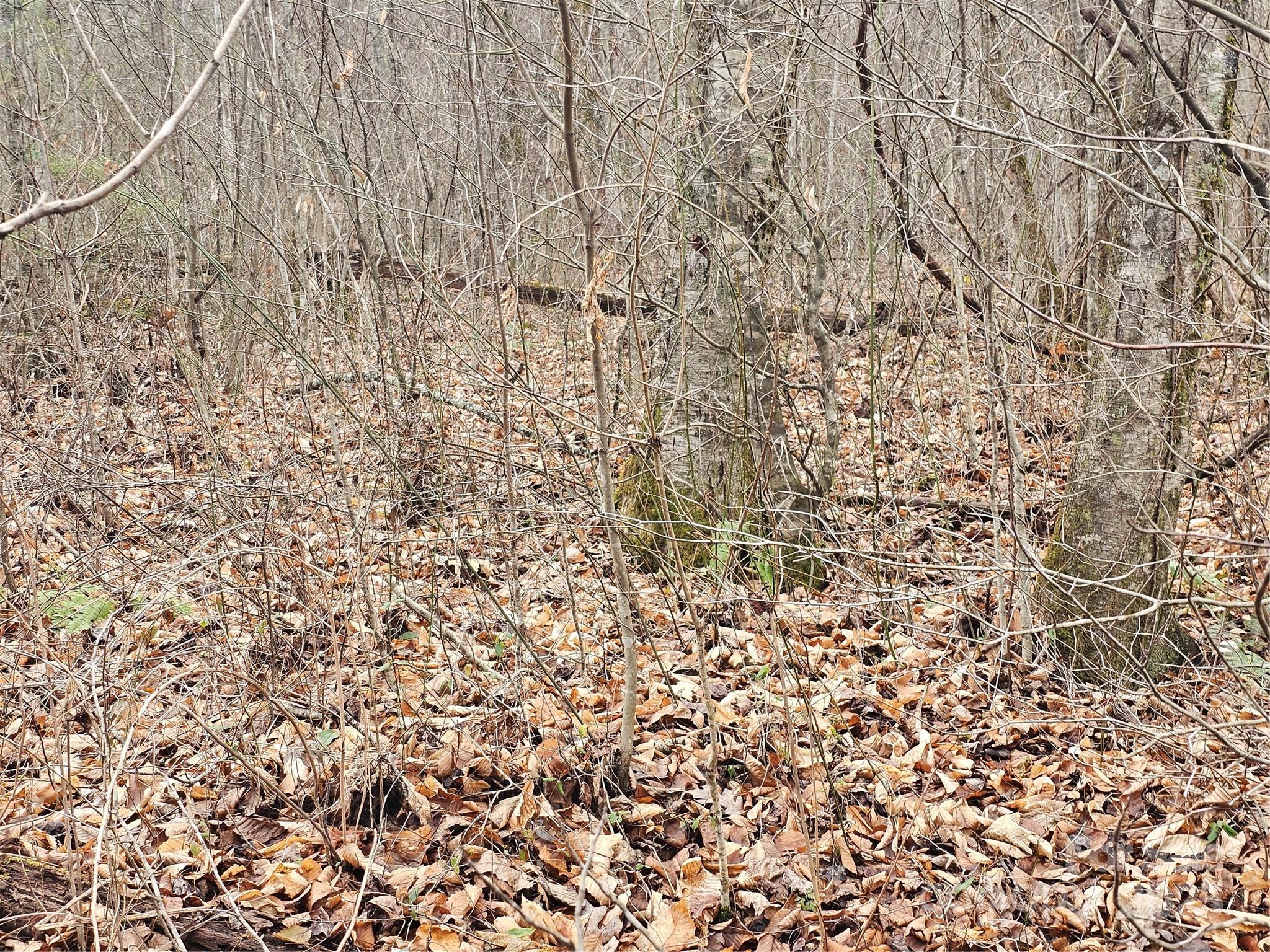 Lt1 Varsity Drive Property Photo 14