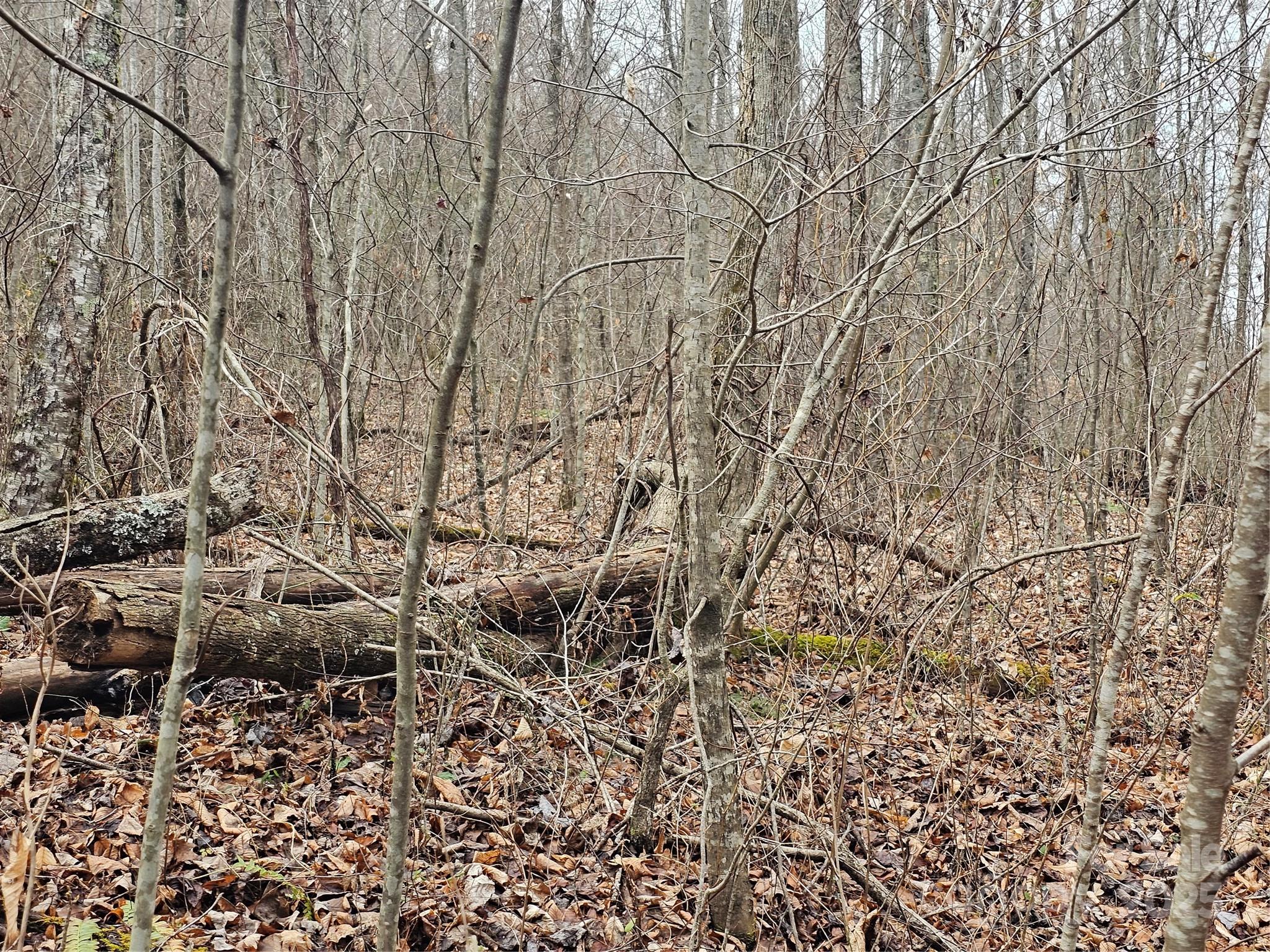 Lt1 Varsity Drive Property Photo 15