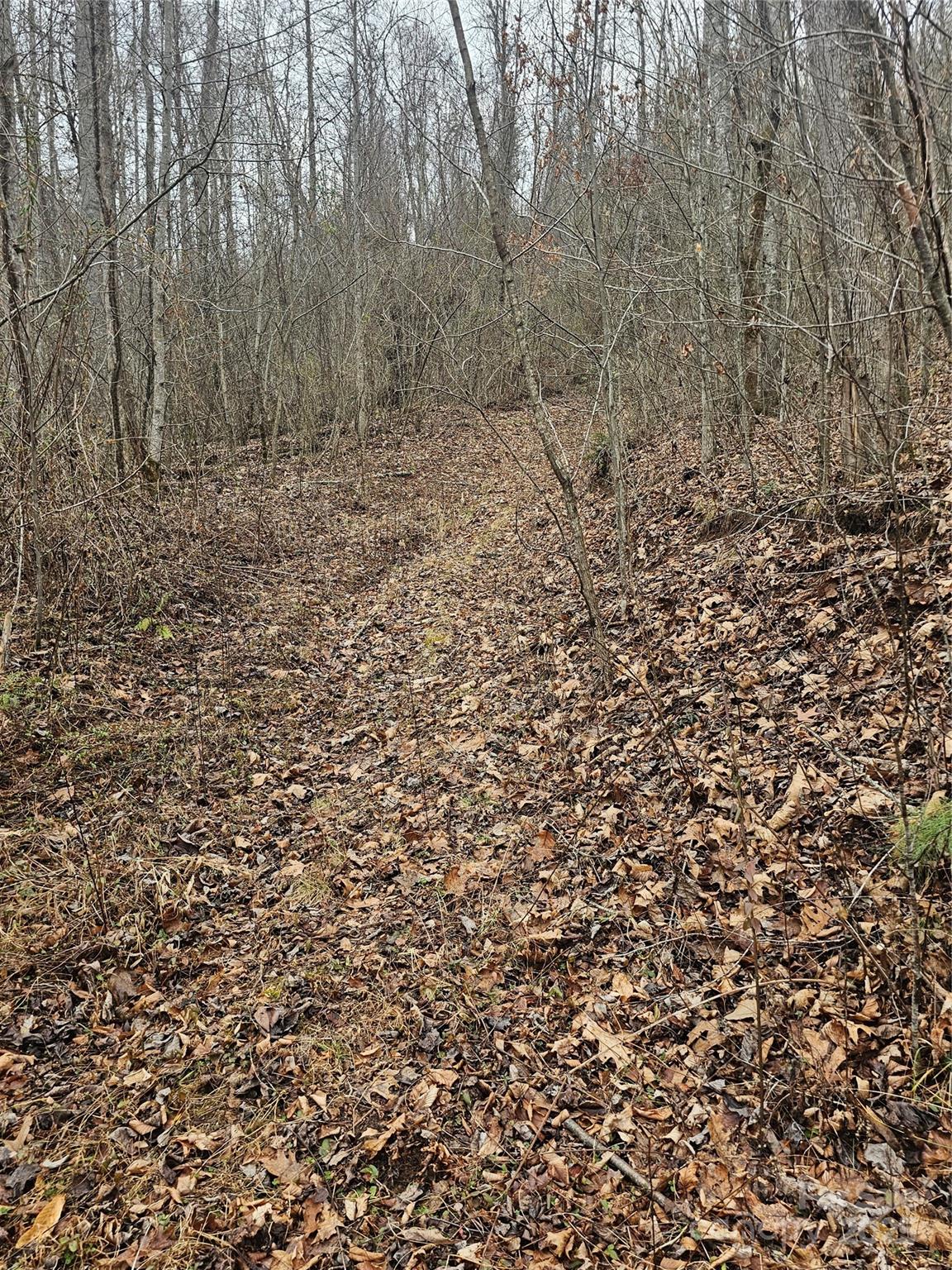Lt1 Varsity Drive Property Photo 21