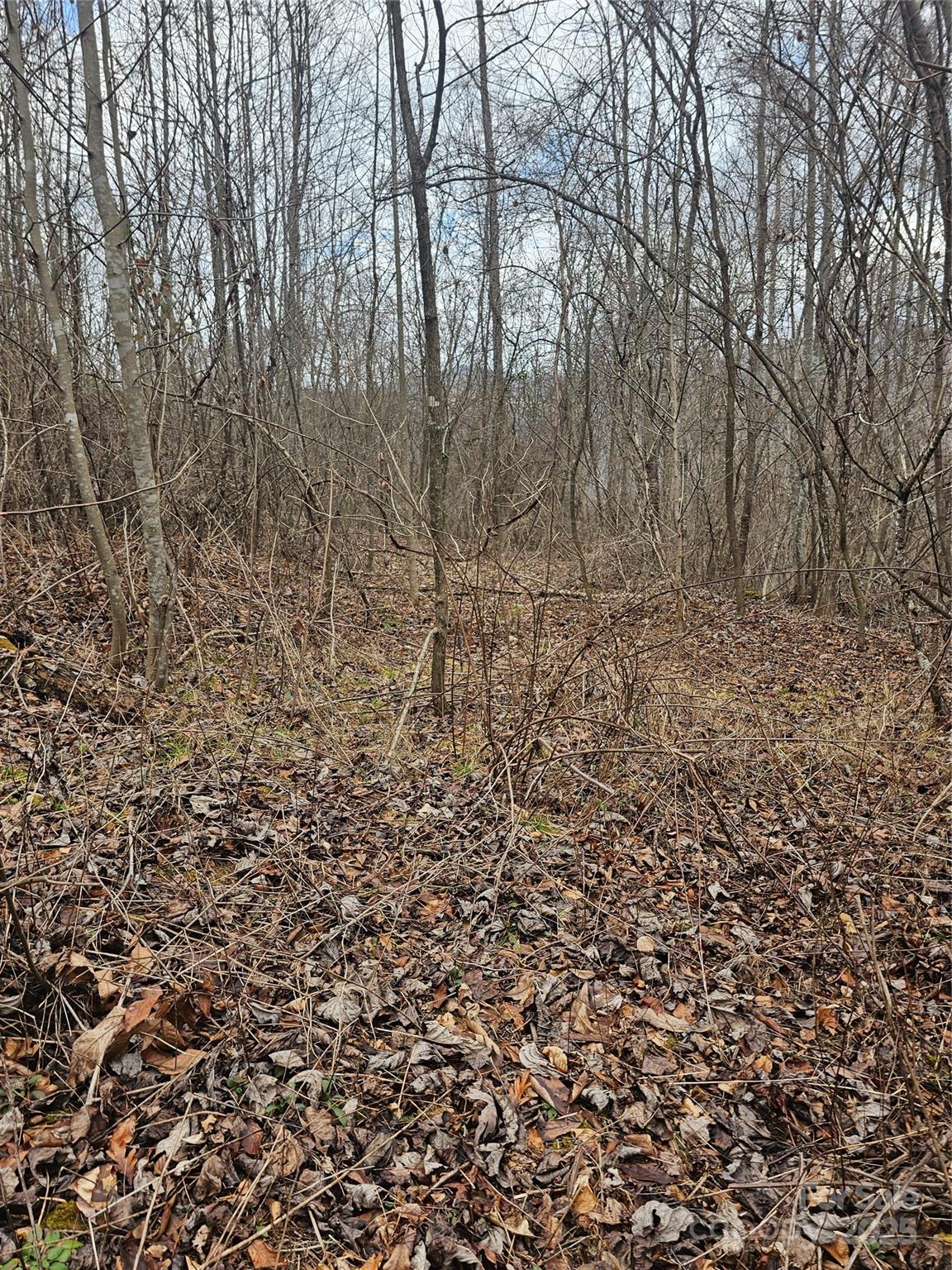 Lt1 Varsity Drive Property Photo 23