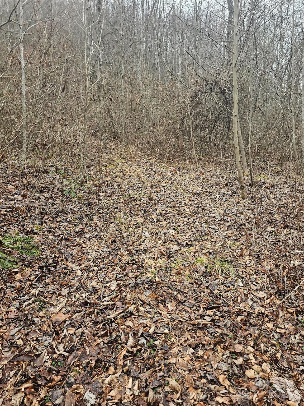 Lt1 Varsity Drive Property Photo 24
