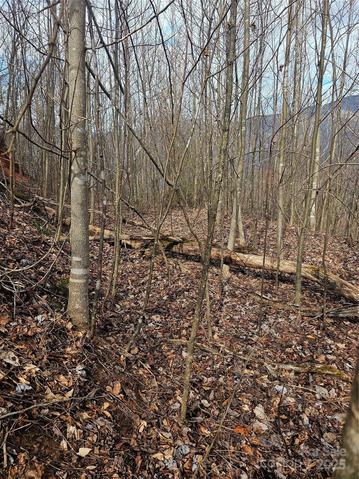Lt1 Varsity Drive Property Photo 27