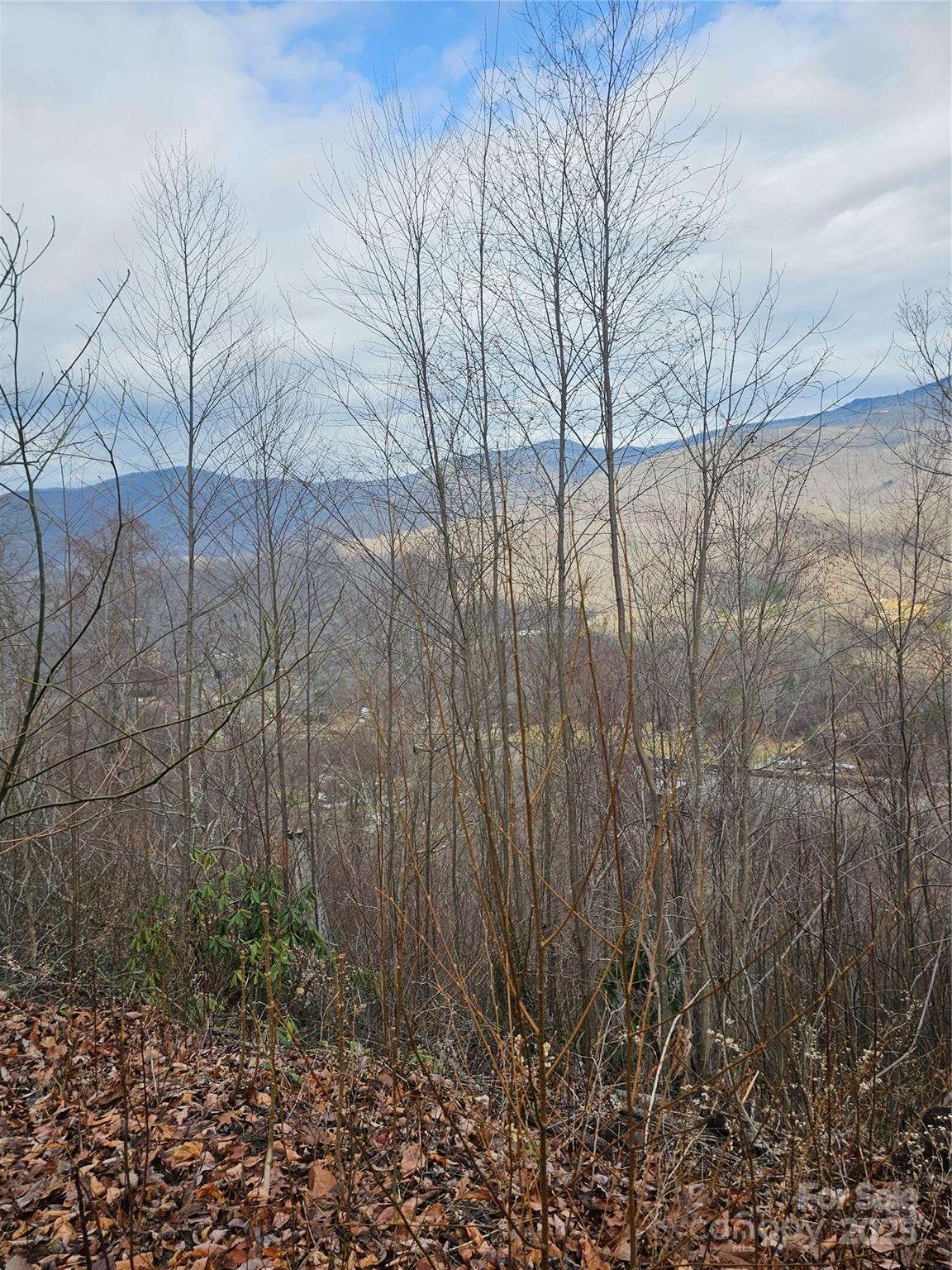 Lt1 Varsity Drive Property Photo 31