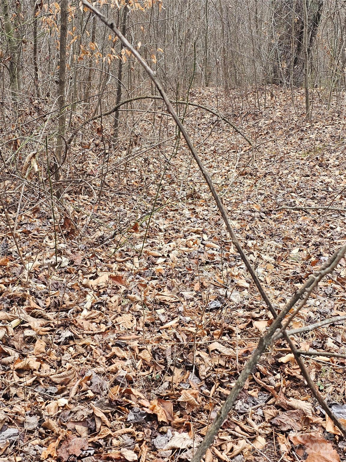 Lt1 Varsity Drive Property Photo 32