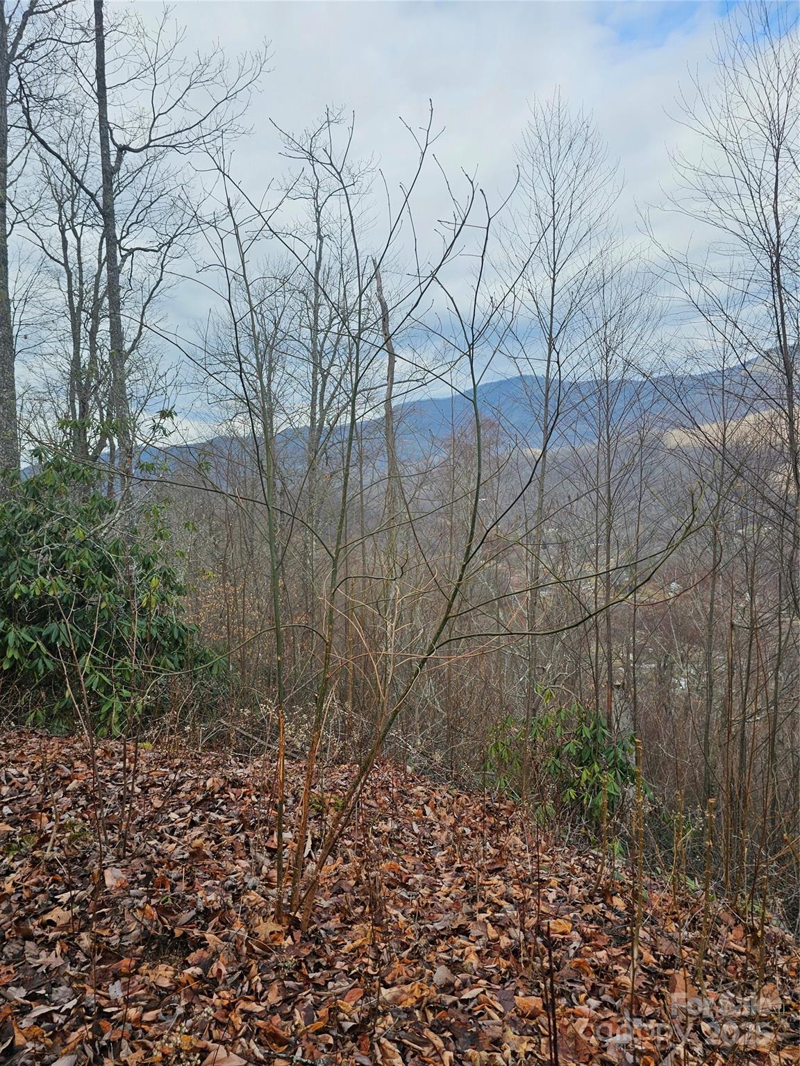 Lt1 Varsity Drive Property Photo 33