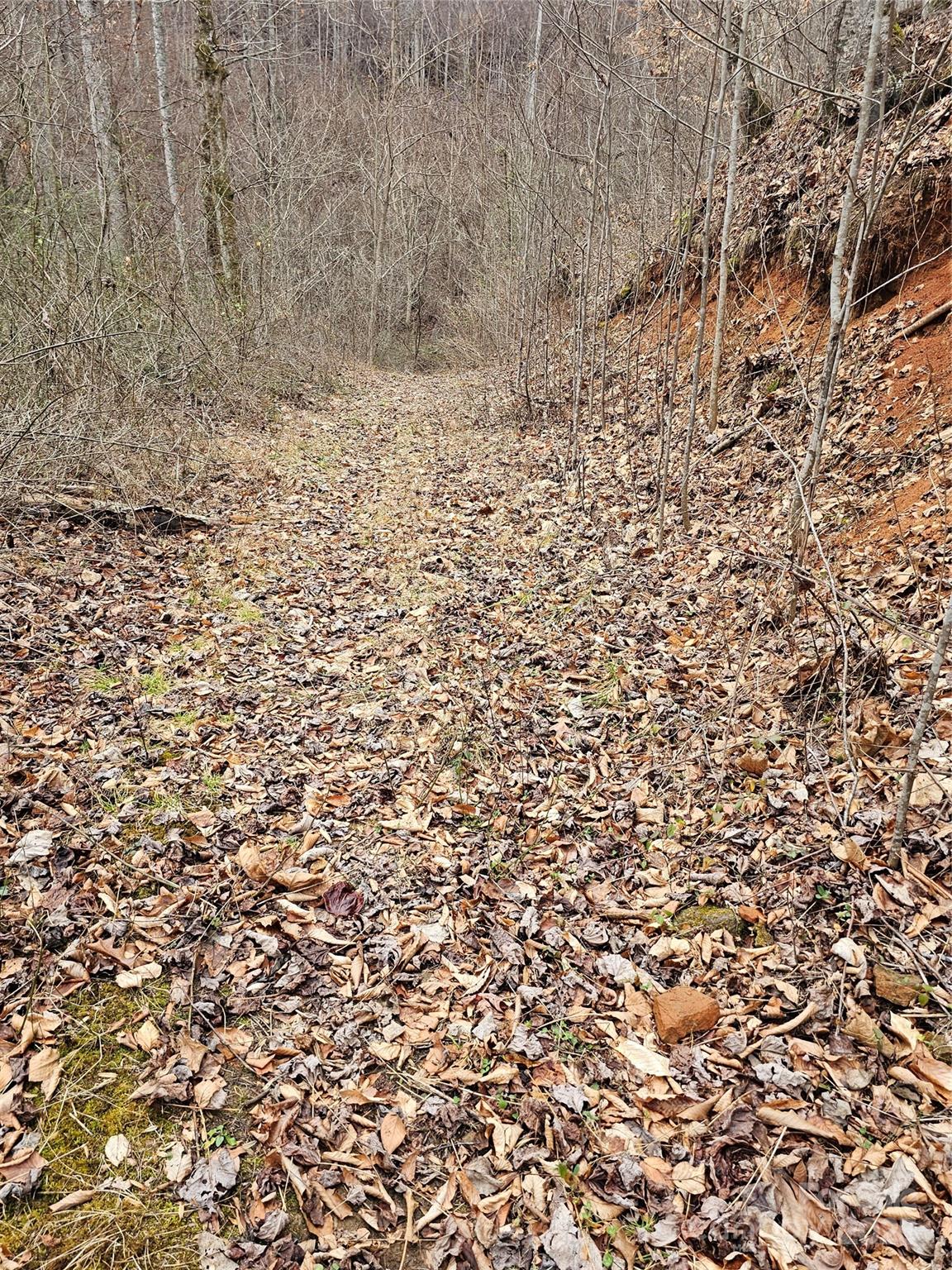 Lt1 Varsity Drive Property Photo 43