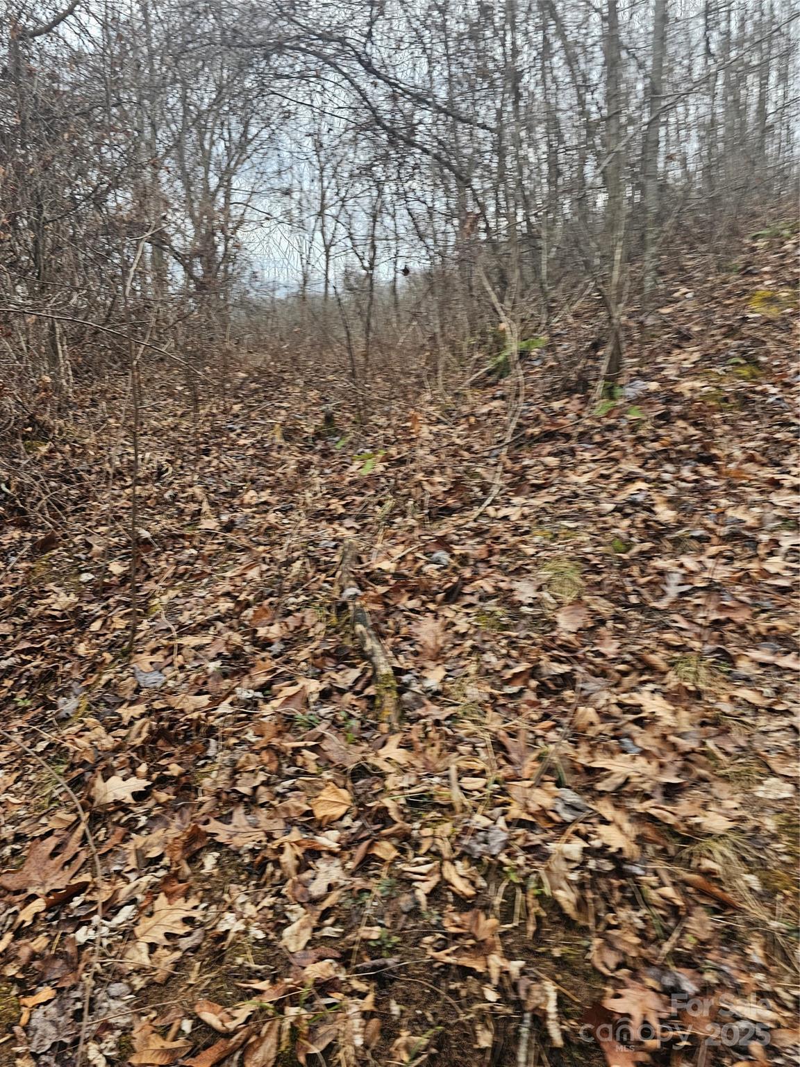 Lt1 Varsity Drive Property Photo 46