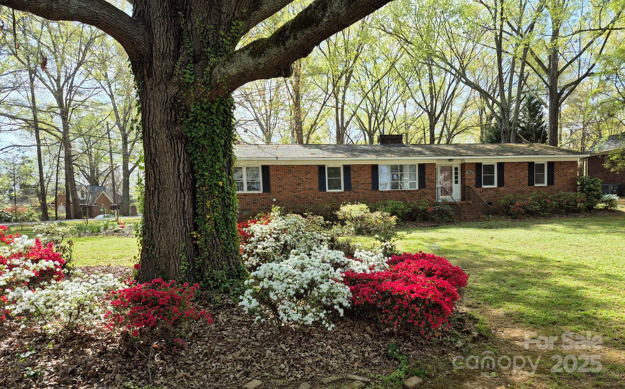 725 Plantation Road Property Photo