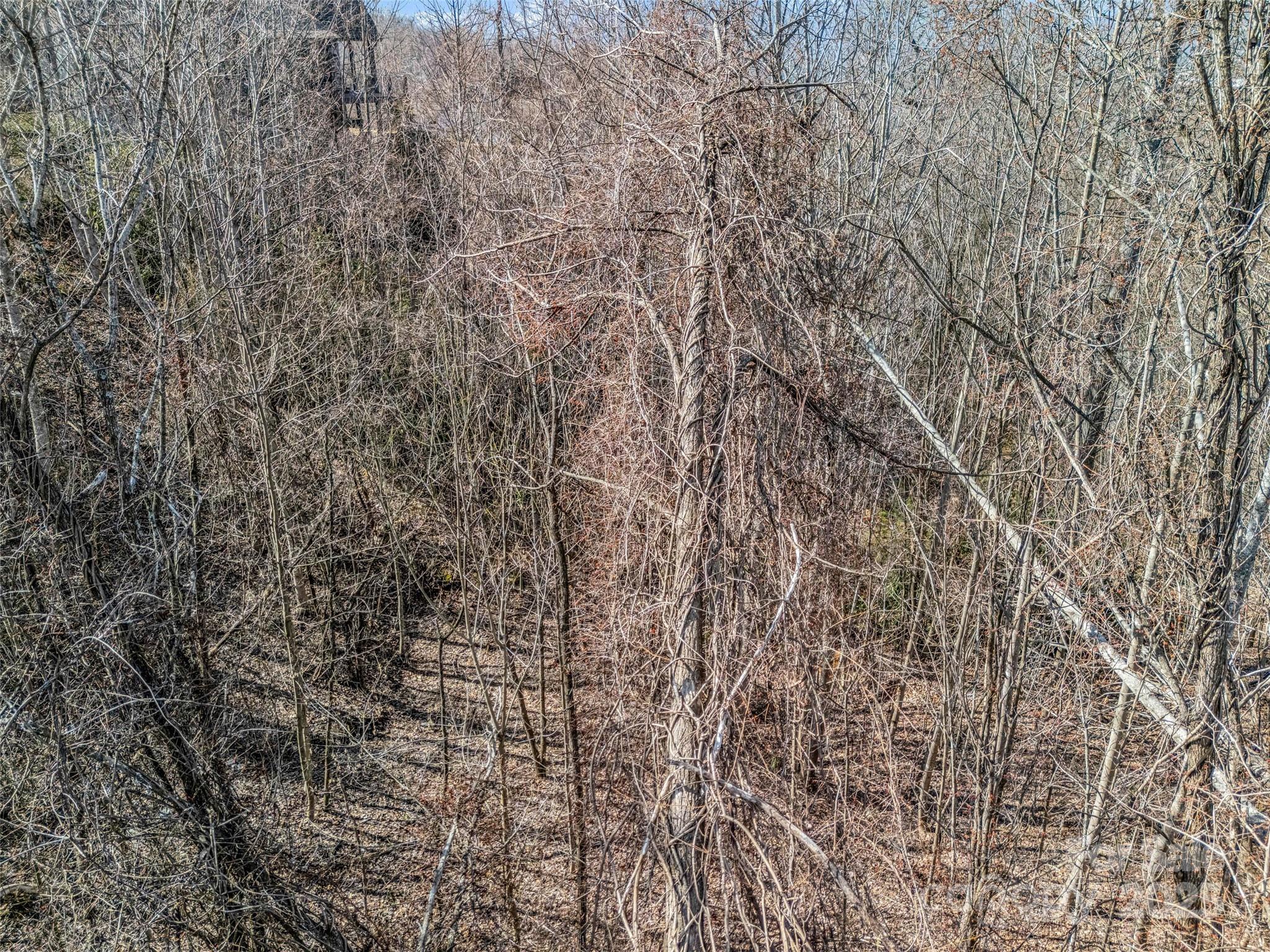 1509 Summit Hill Road Property Photo 9