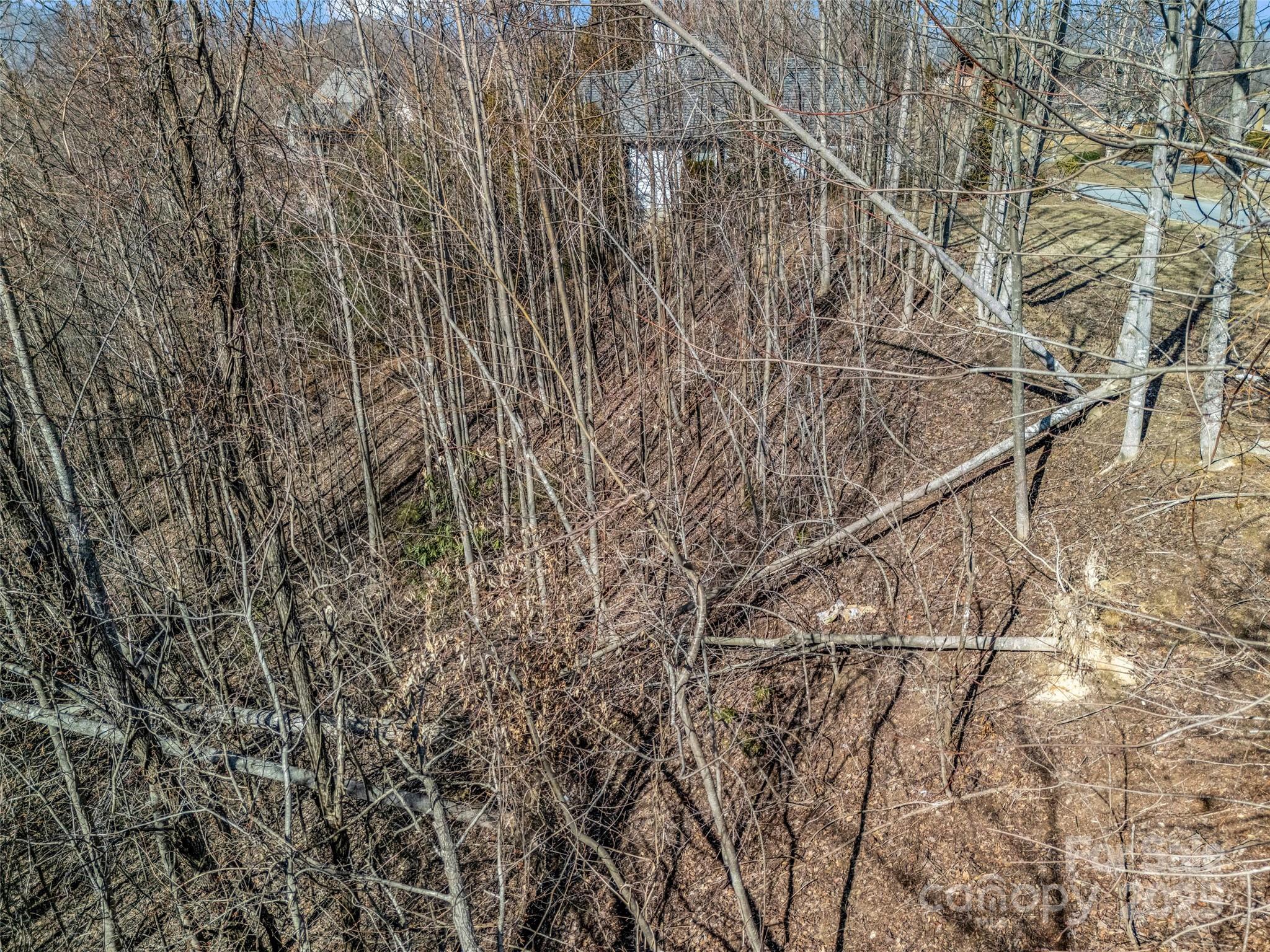 1509 Summit Hill Road Property Photo 10
