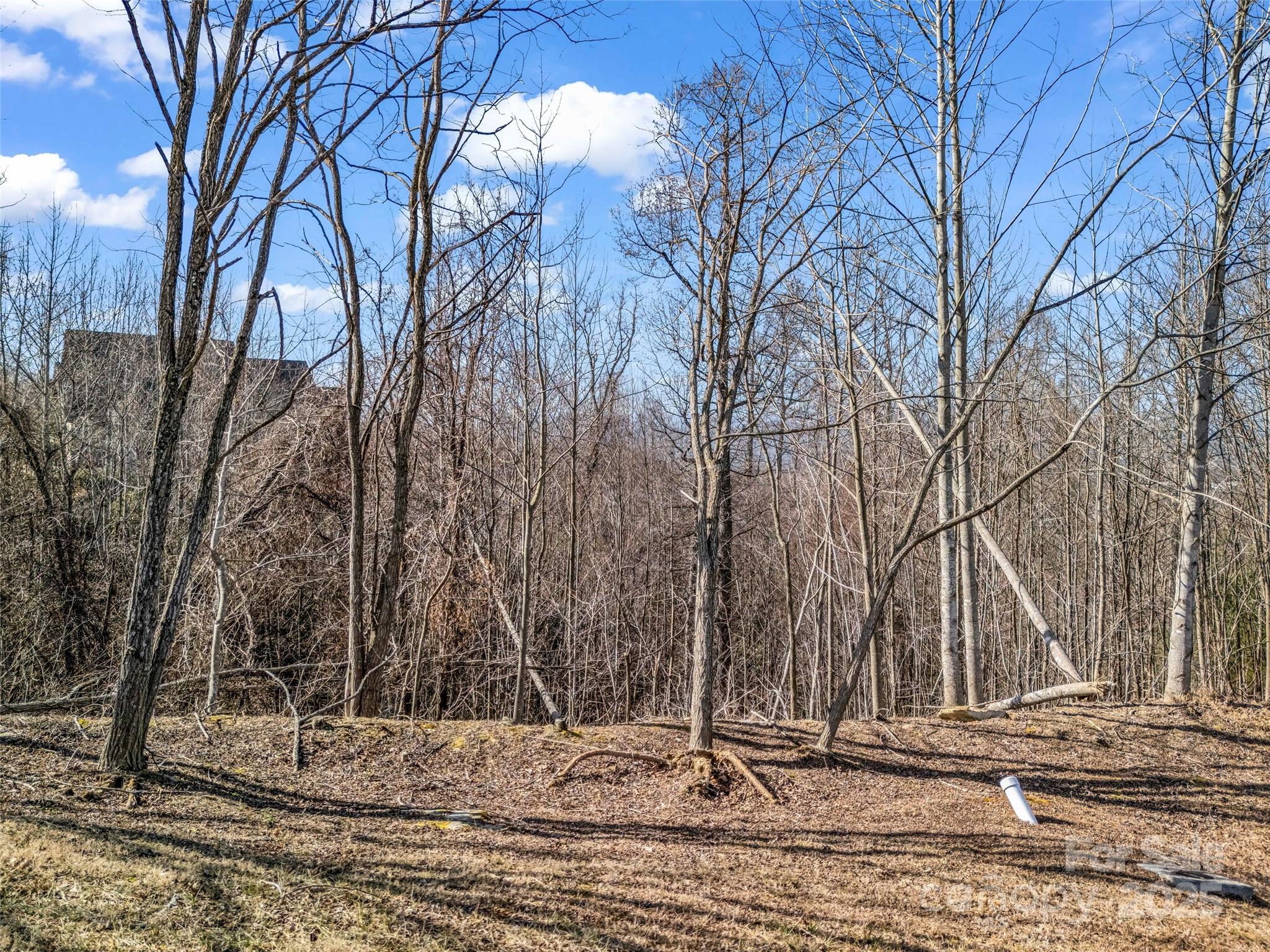 1509 Summit Hill Road Property Photo 12