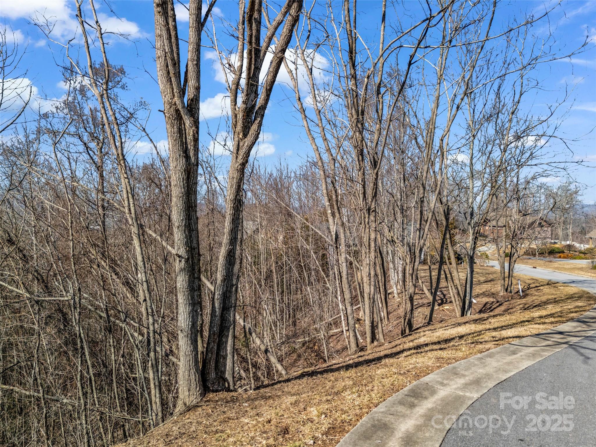 1509 Summit Hill Road Property Photo 13