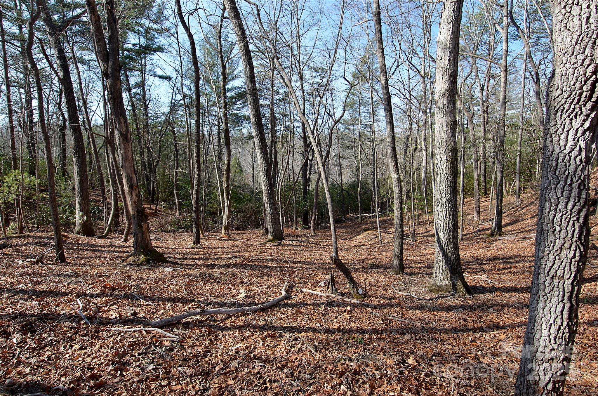 961 Deep Woods Drive Property Photo