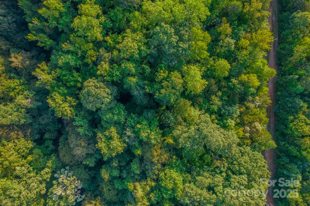 0 Little River Road Property Photo 34