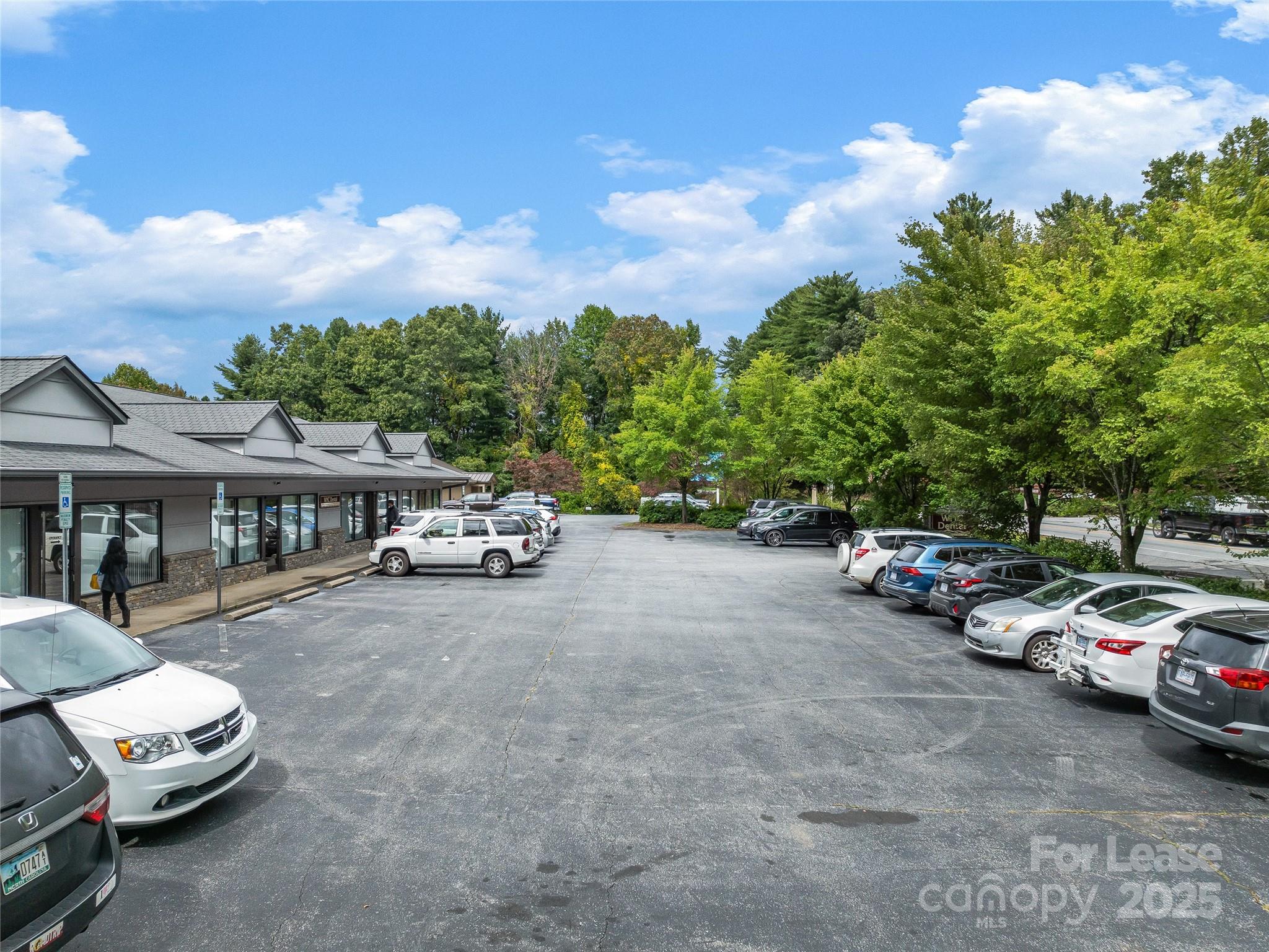3179 Sweeten Creek Road Property Photo 7