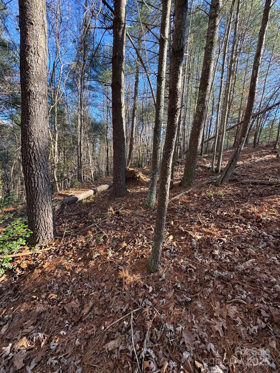 4836 Rio De Luna None Property Photo 4