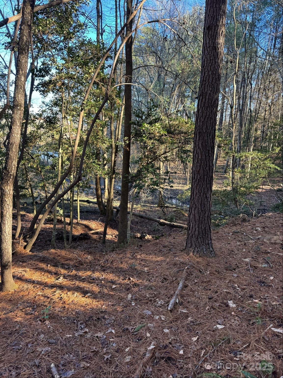 4836 Rio De Luna None Property Photo 7