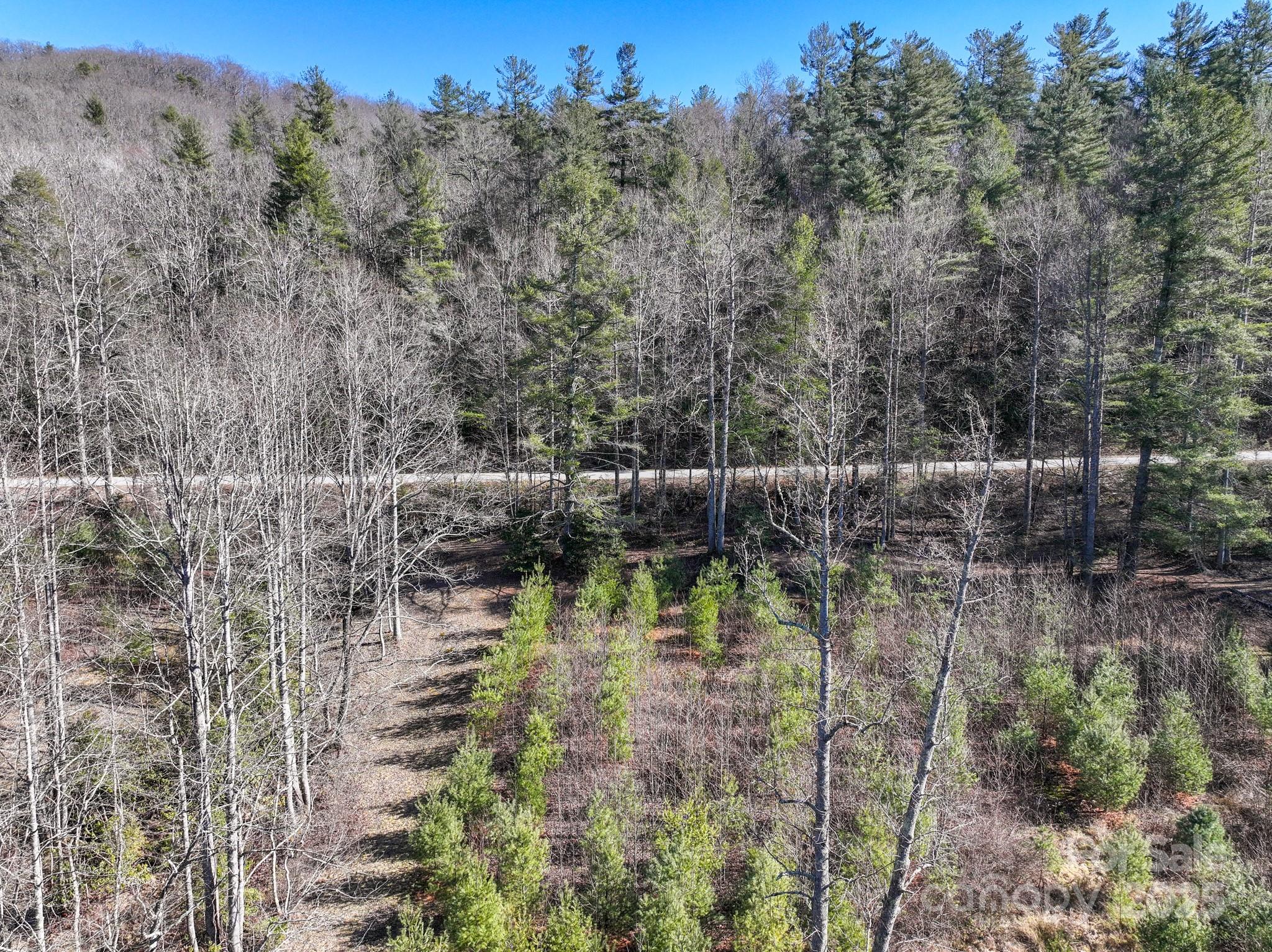 0000 Bobs Creek Road Property Photo 13
