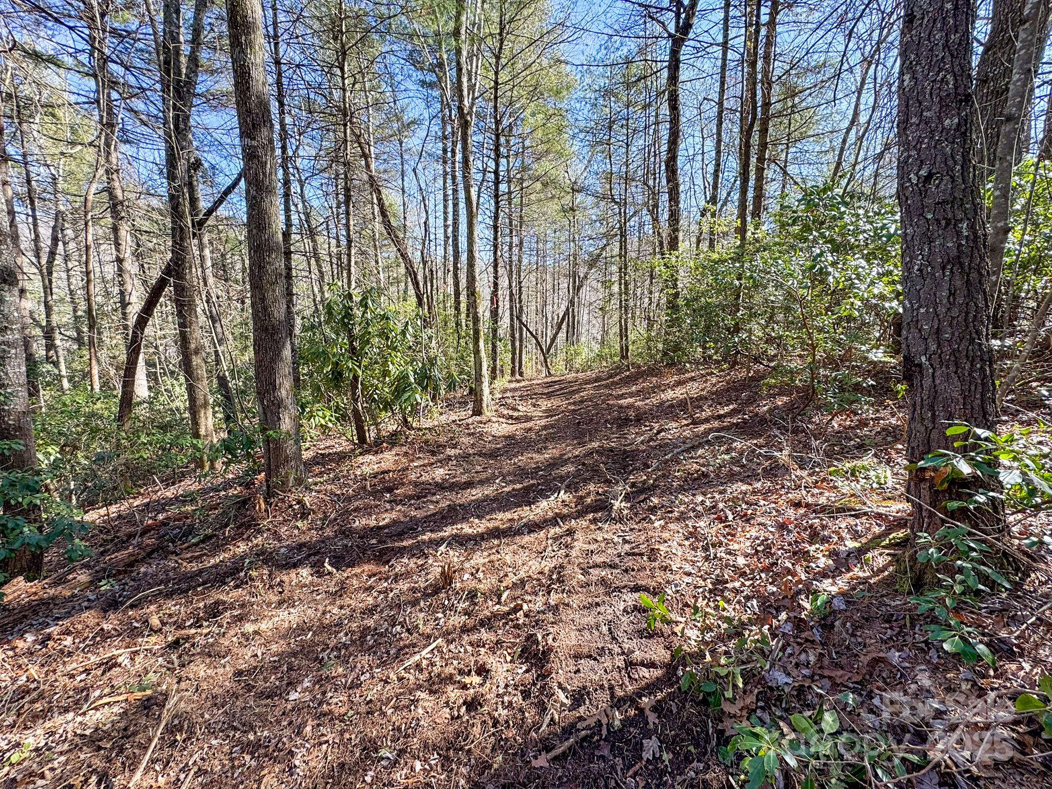 0000 Bobs Creek Road Property Photo 21