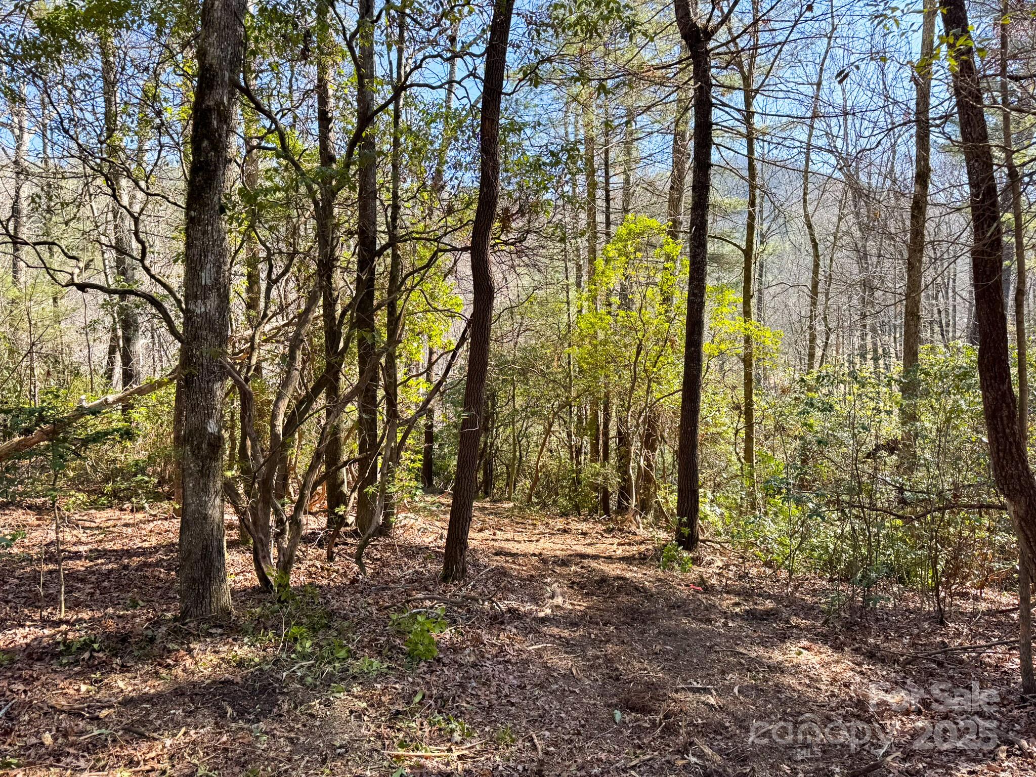 0000 Bobs Creek Road Property Photo 23