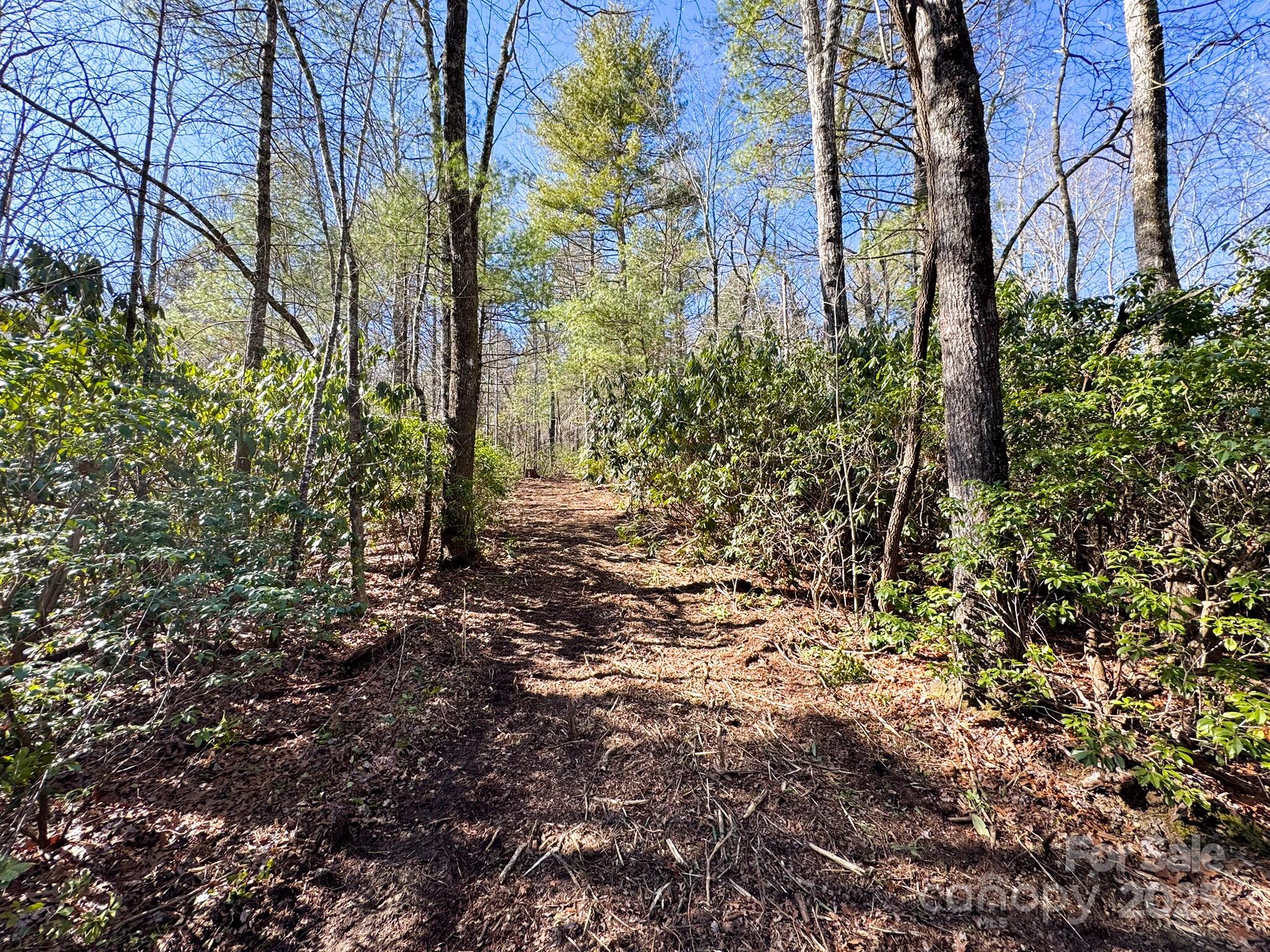0000 Bobs Creek Road Property Photo 24
