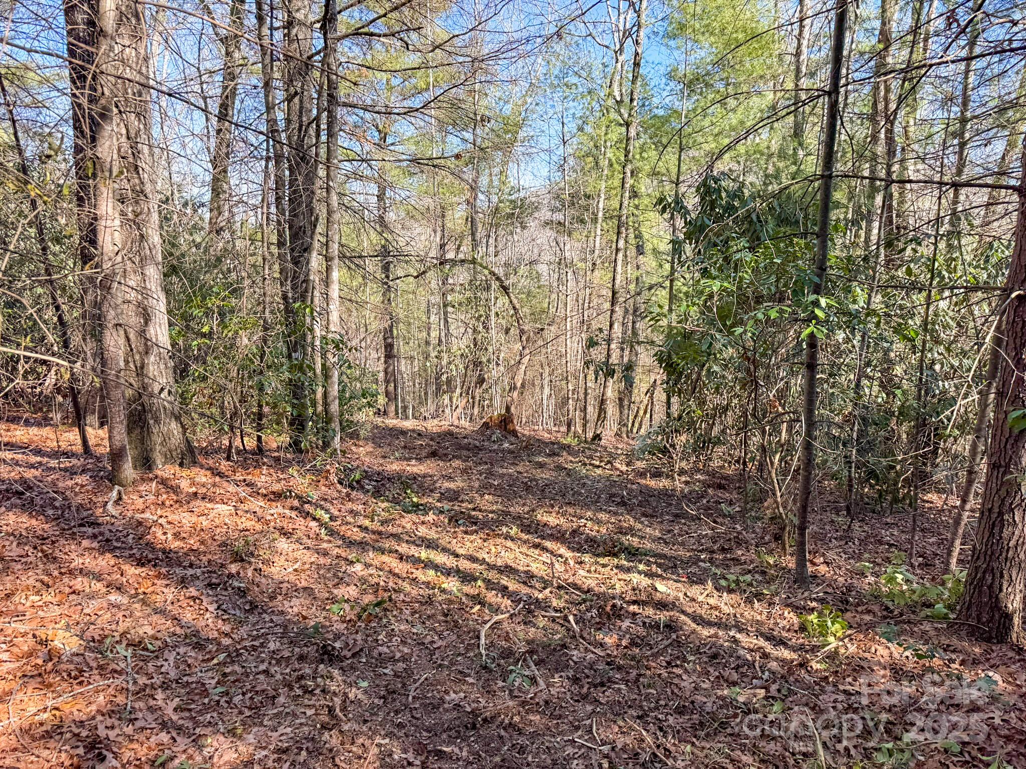 0000 Bobs Creek Road Property Photo 27