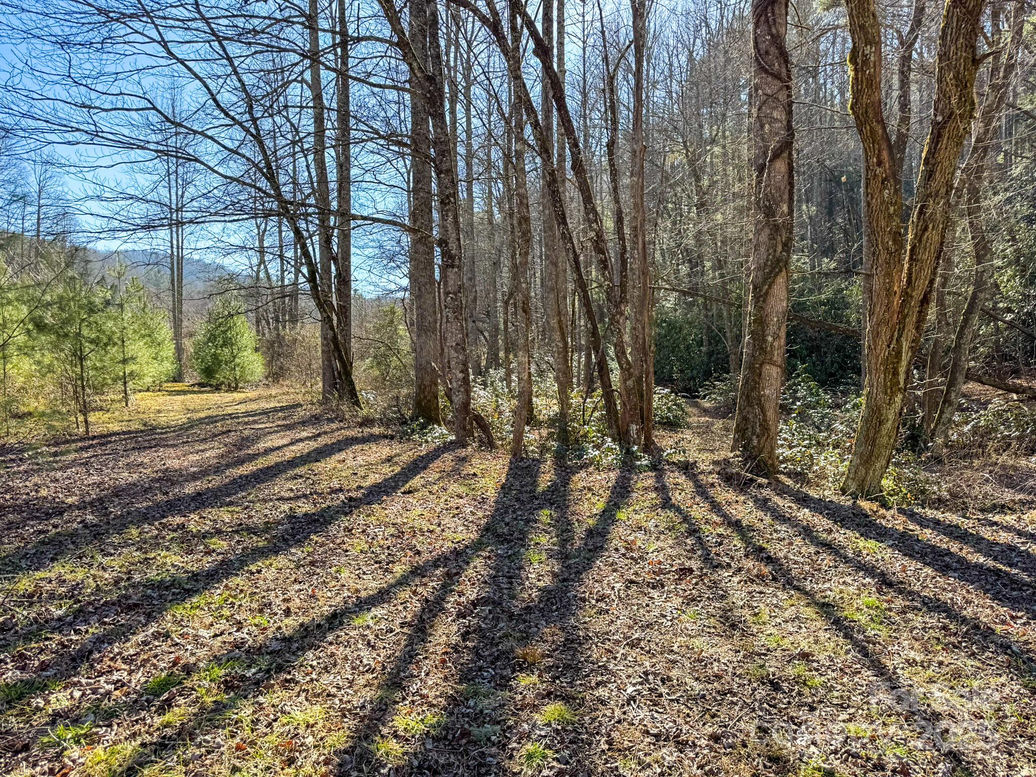 0000 Bobs Creek Road Property Photo 30