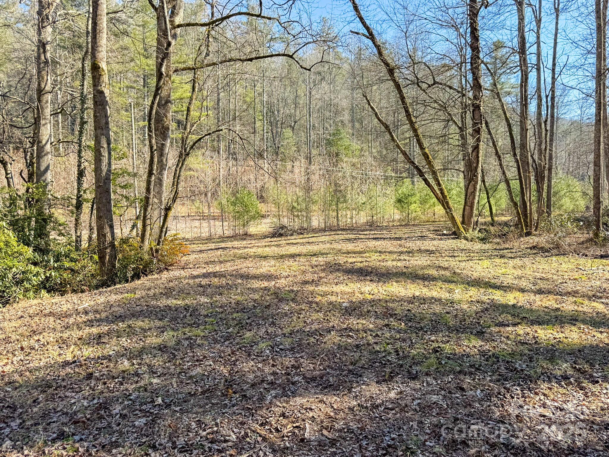 0000 Bobs Creek Road Property Photo 33