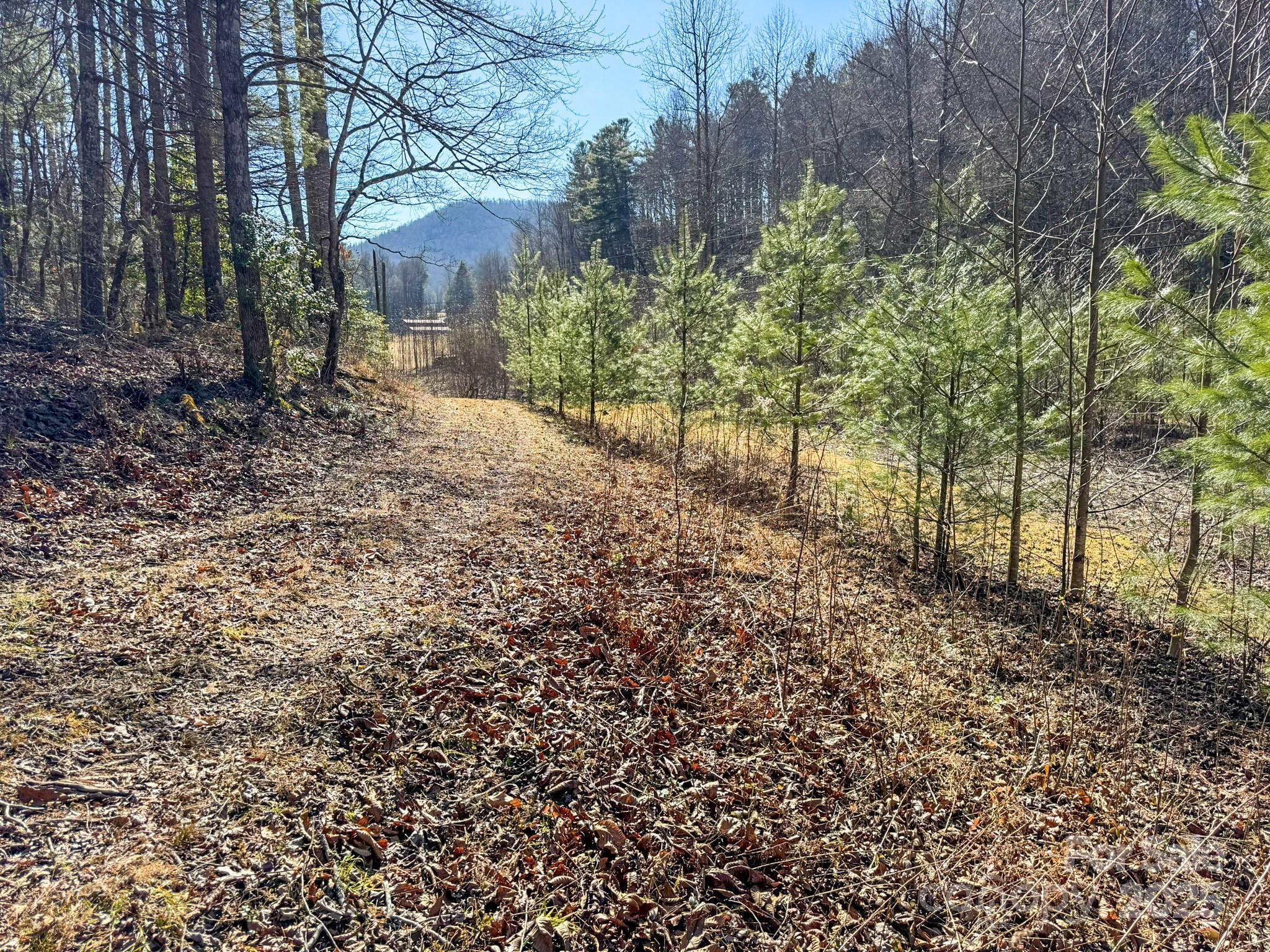 0000 Bobs Creek Road Property Photo 34