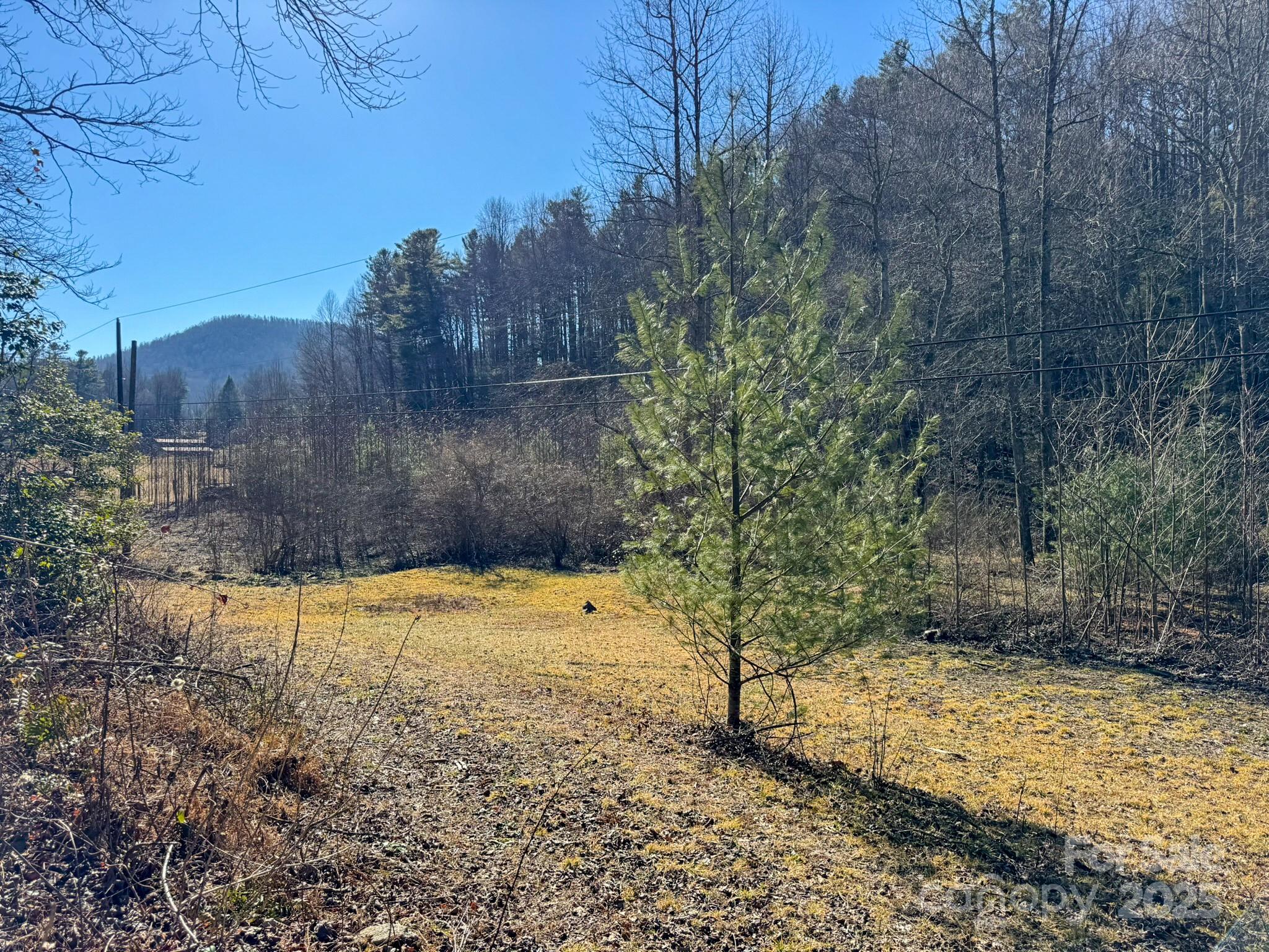 0000 Bobs Creek Road Property Photo 35