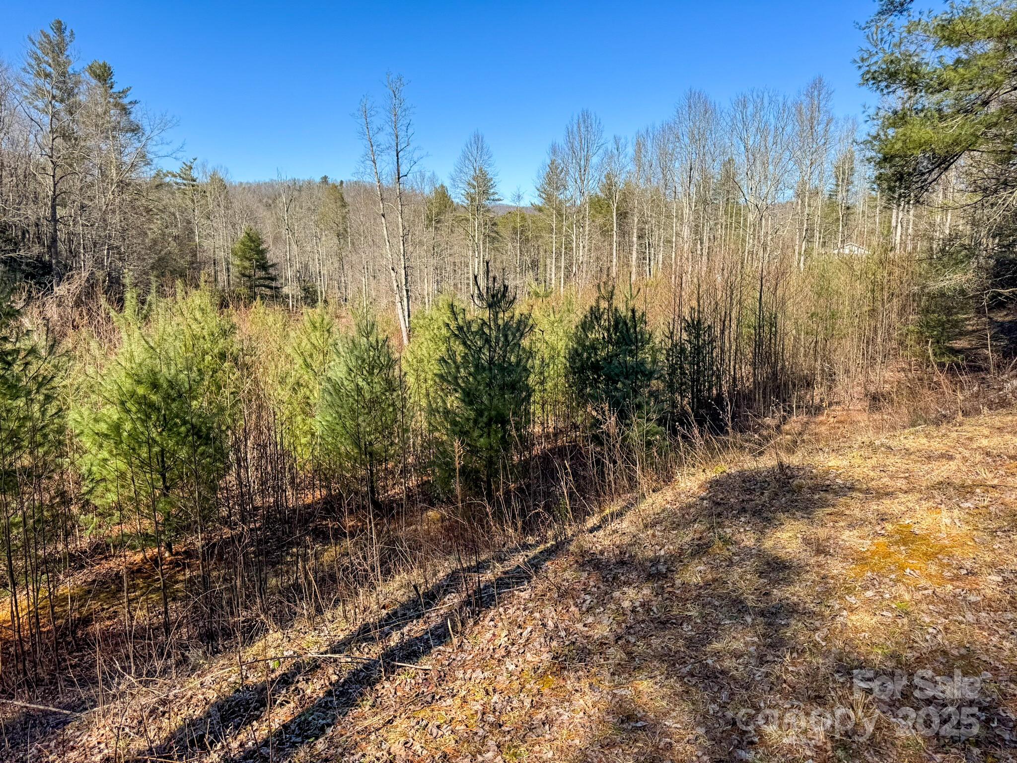 0000 Bobs Creek Road Property Photo 36