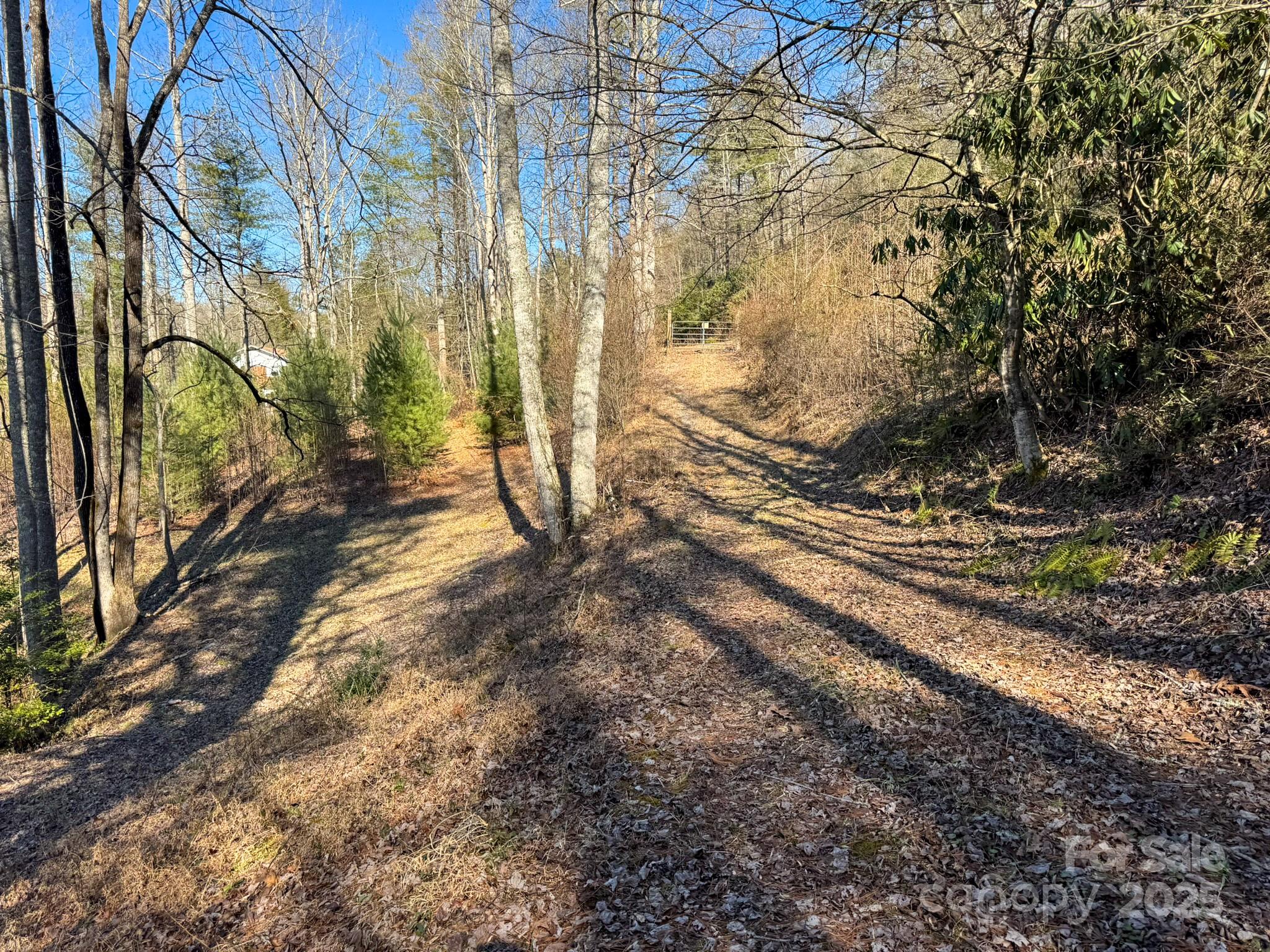0000 Bobs Creek Road Property Photo 38