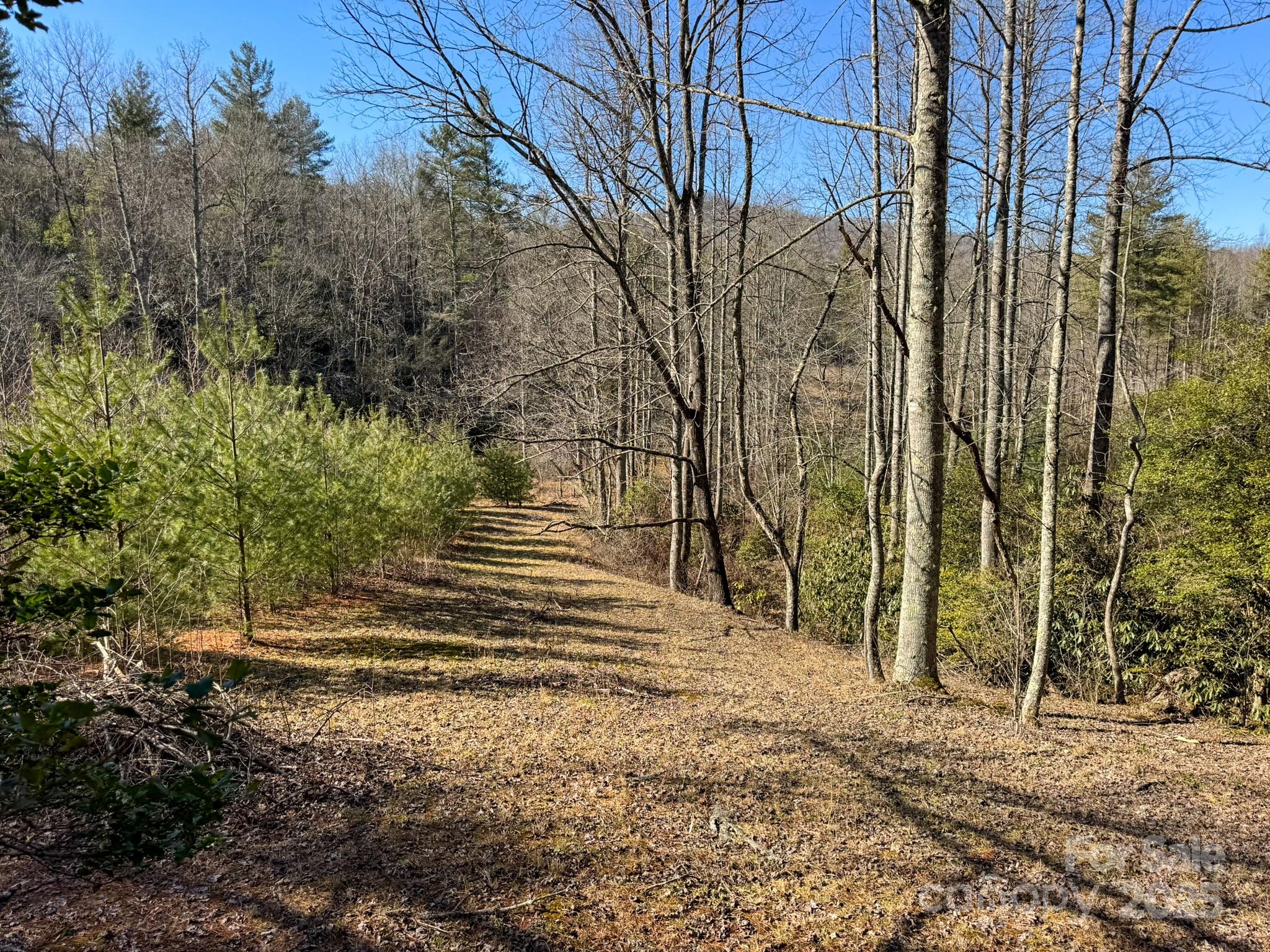 0000 Bobs Creek Road Property Photo 39