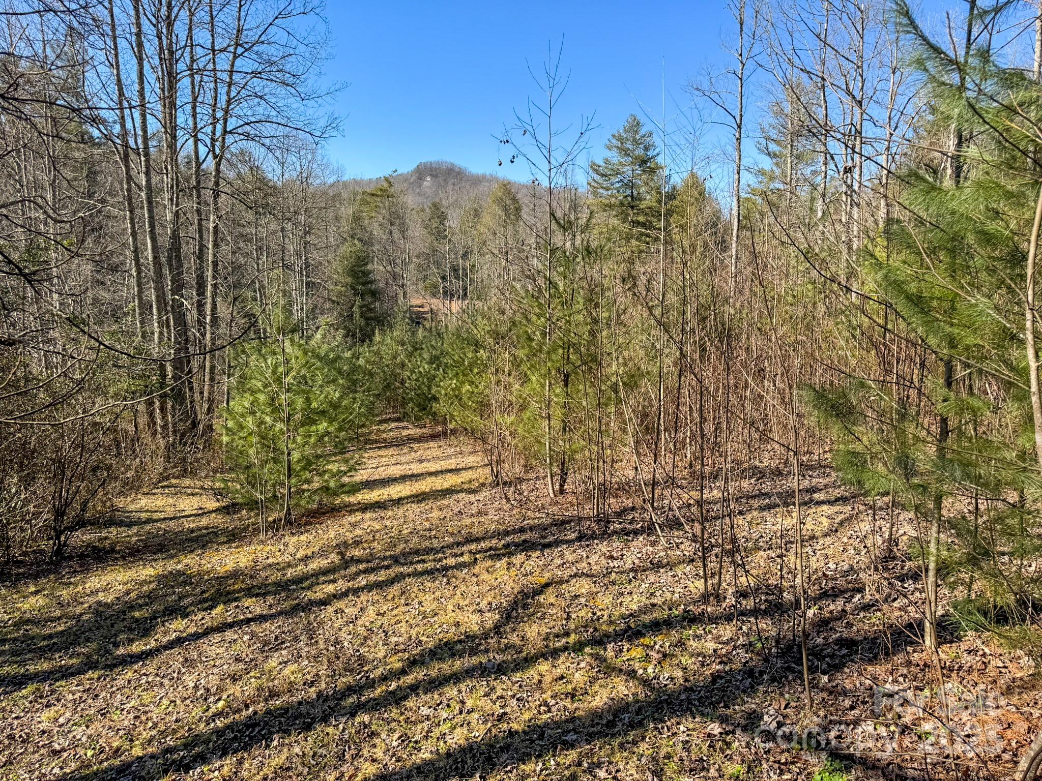 0000 Bobs Creek Road Property Photo 40