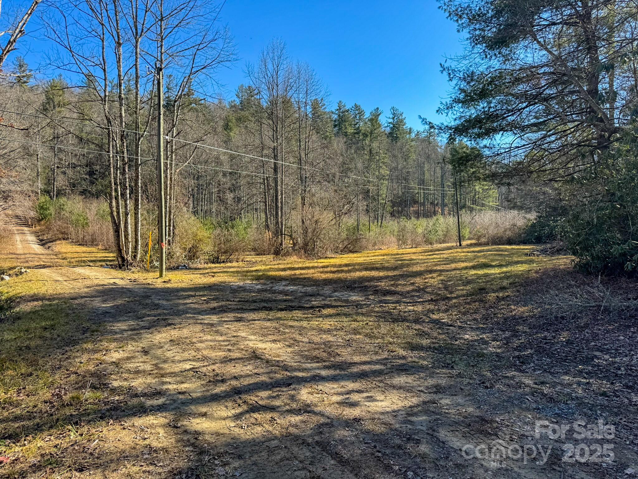 0000 Bobs Creek Road Property Photo 45