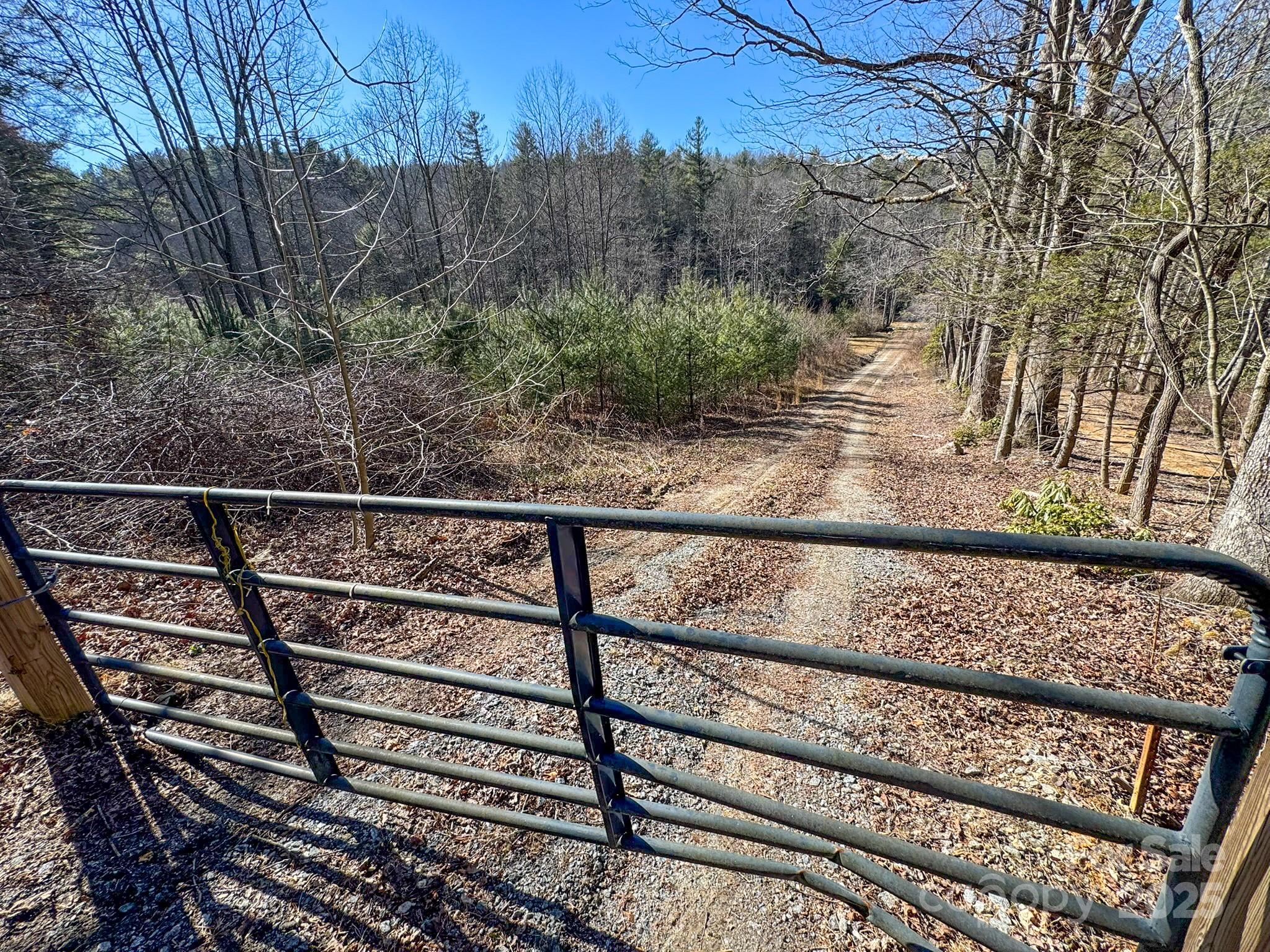 0000 Bobs Creek Road Property Photo 46