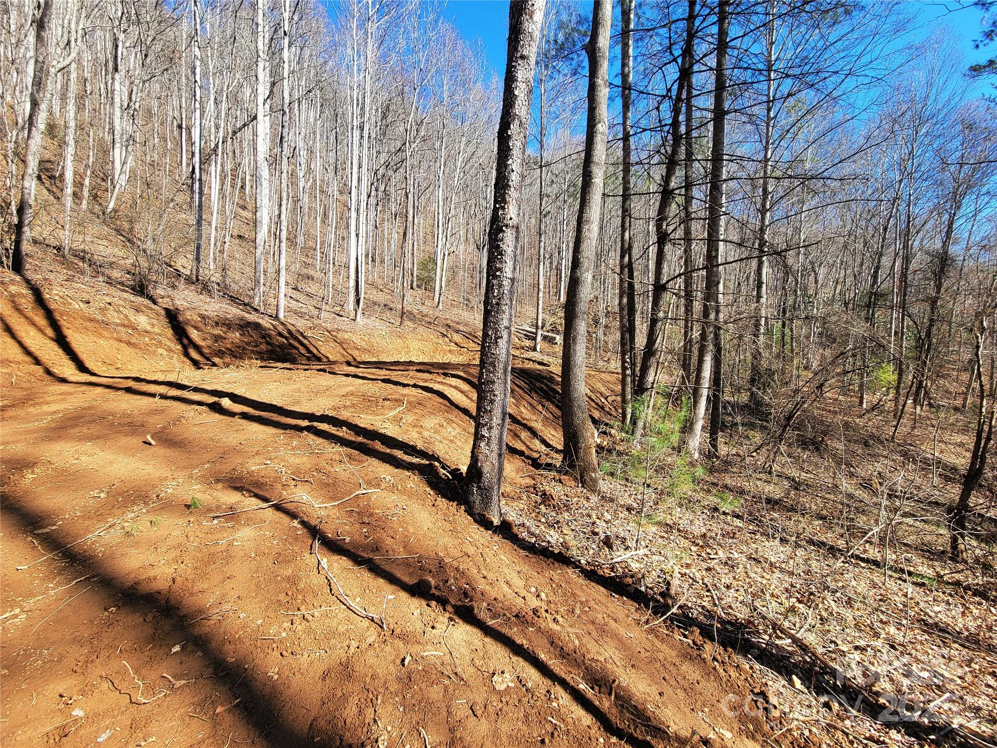 2200 Cove Creek Road Property Photo 1