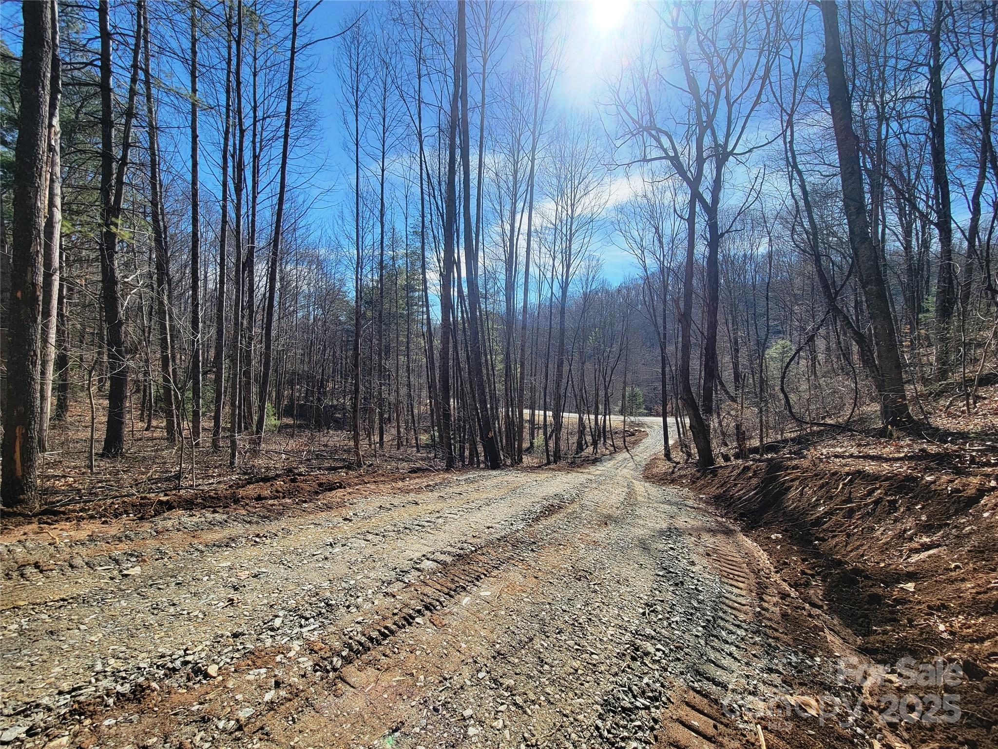 2200 Cove Creek Road Property Photo 2