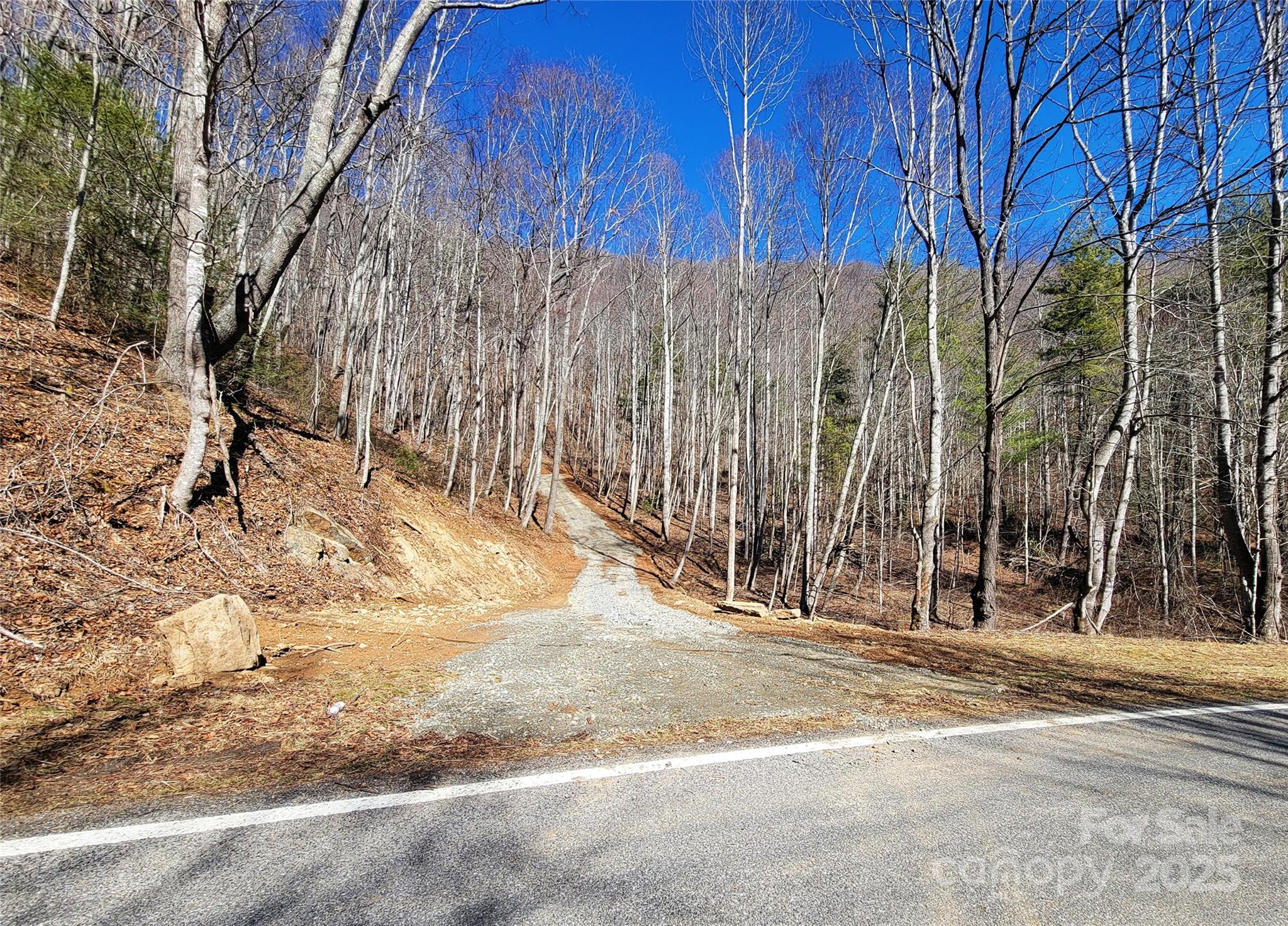 2200 Cove Creek Road Property Photo 3