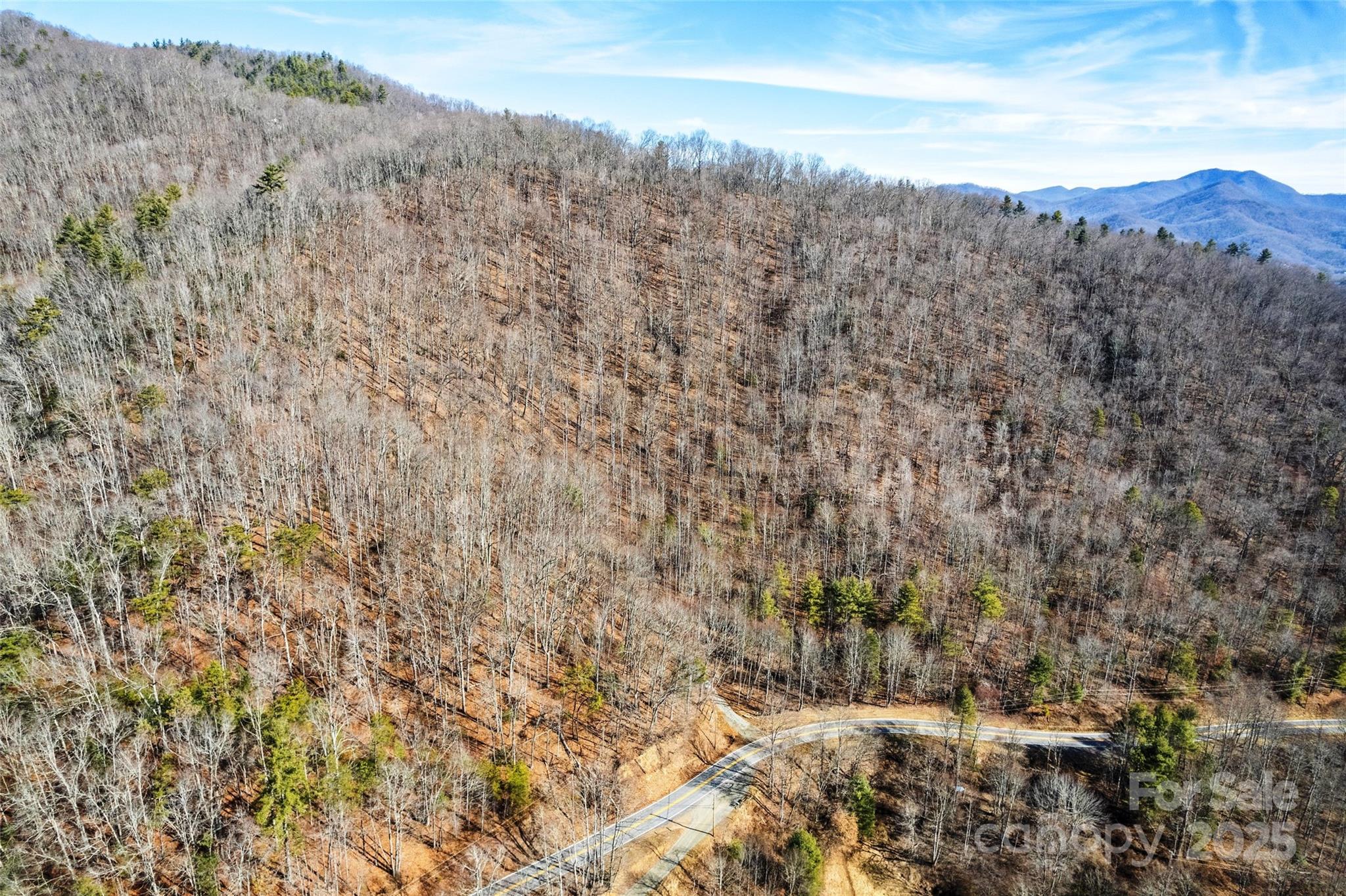 2200 Cove Creek Road Property Photo 4