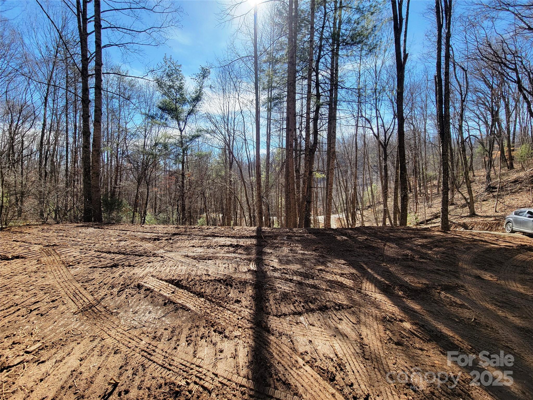 2200 Cove Creek Road Property Photo 5