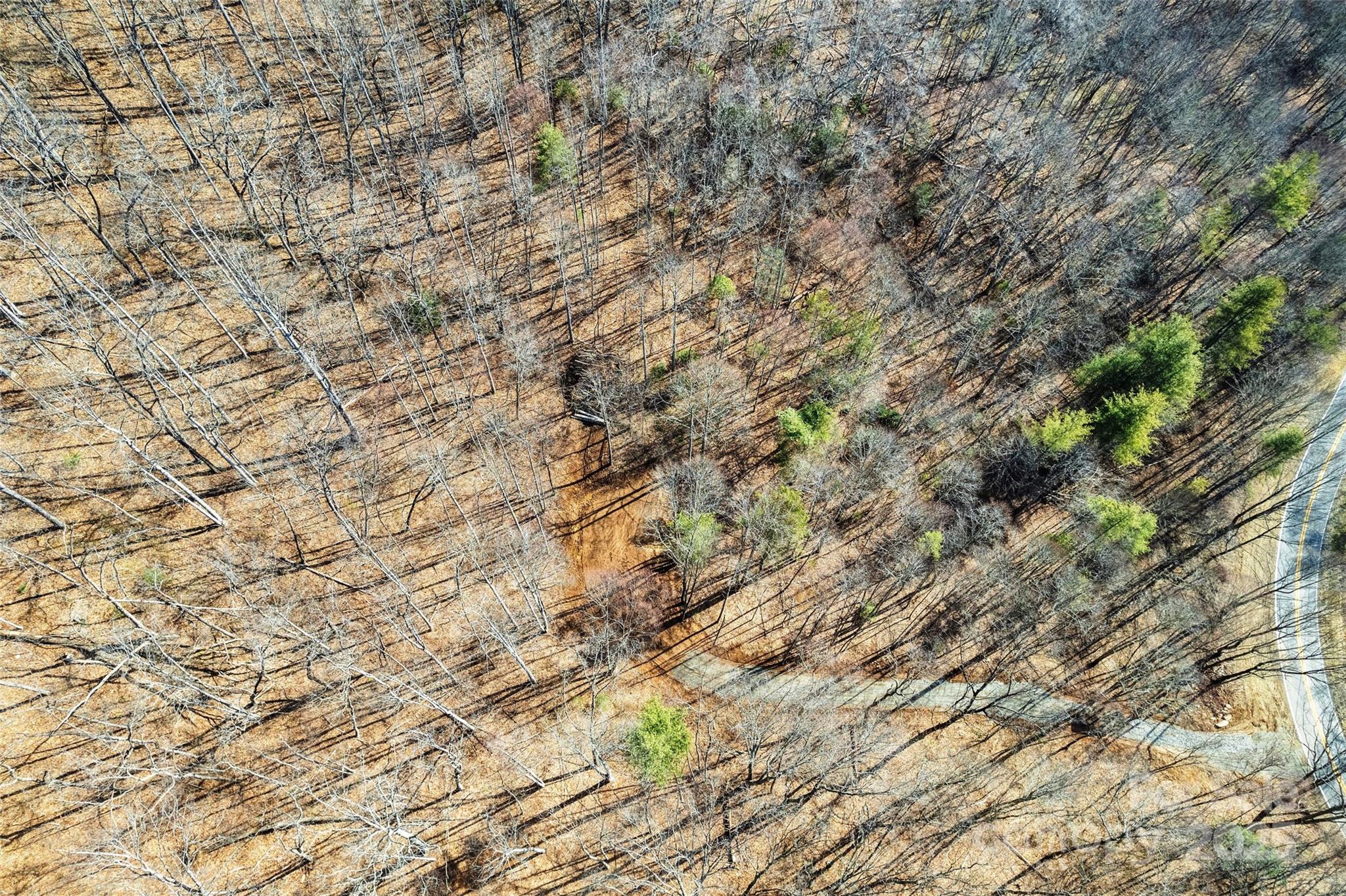 2200 Cove Creek Road Property Photo 6