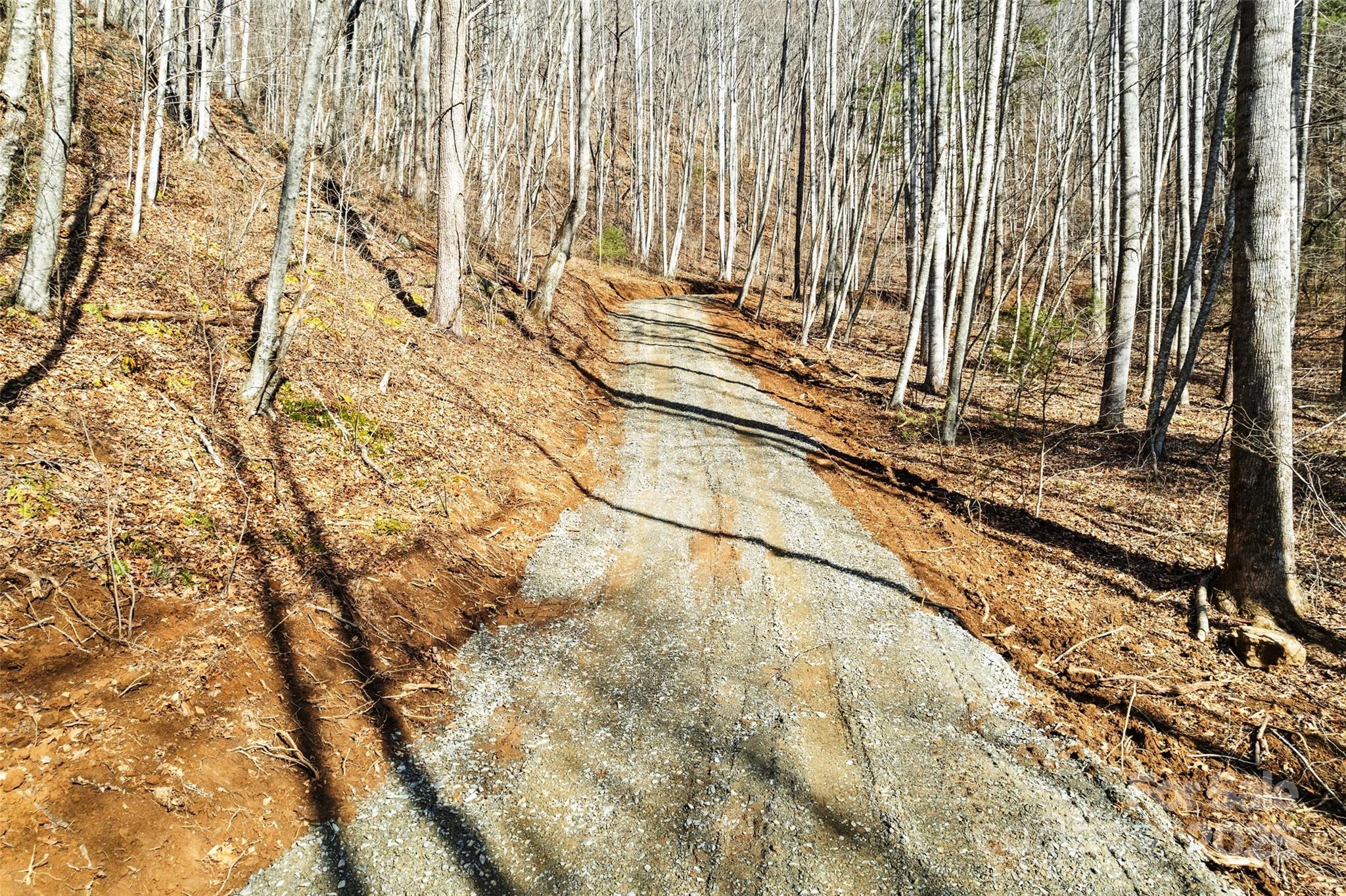 2200 Cove Creek Road Property Photo 7