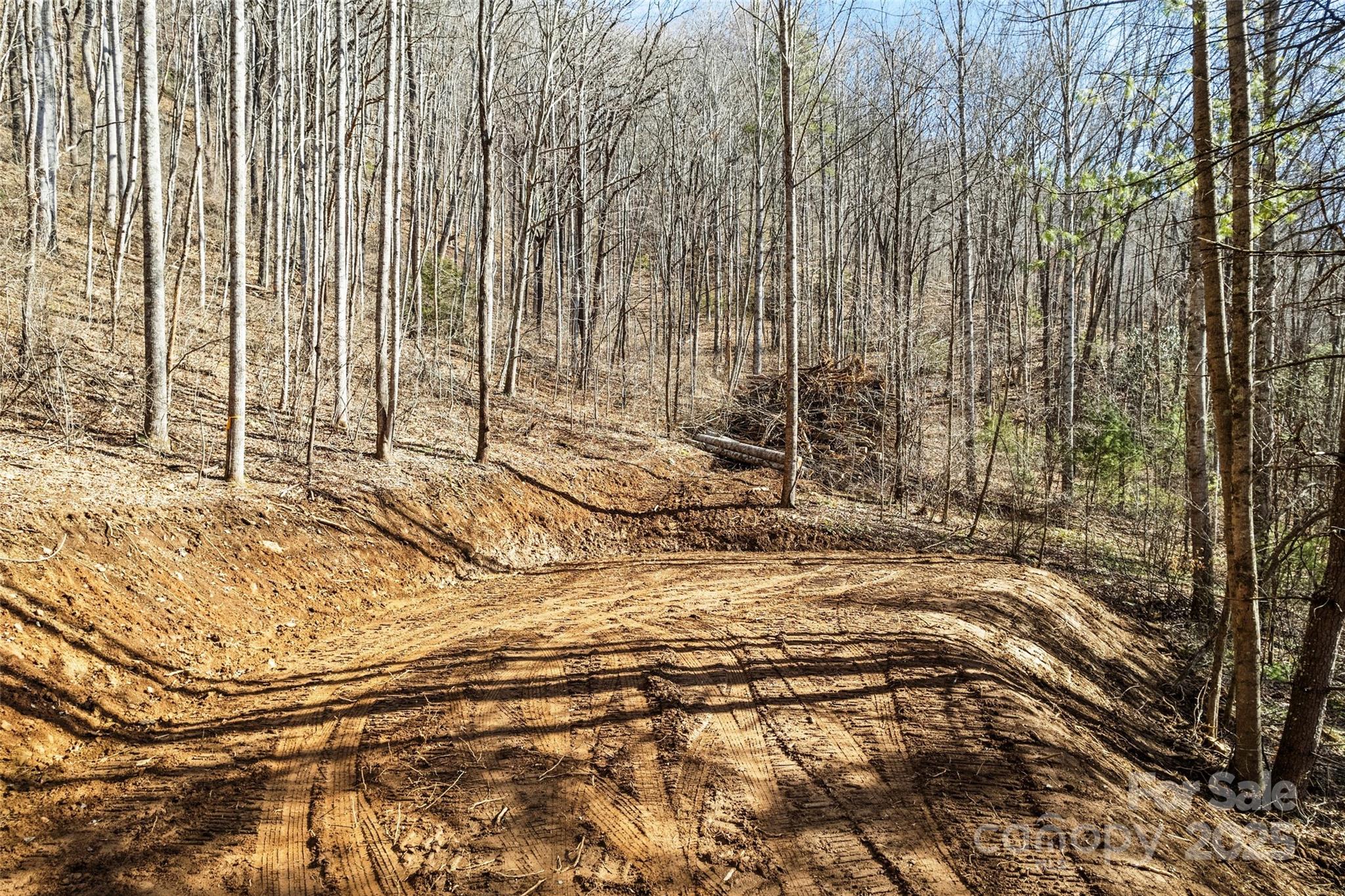2200 Cove Creek Road Property Photo 9